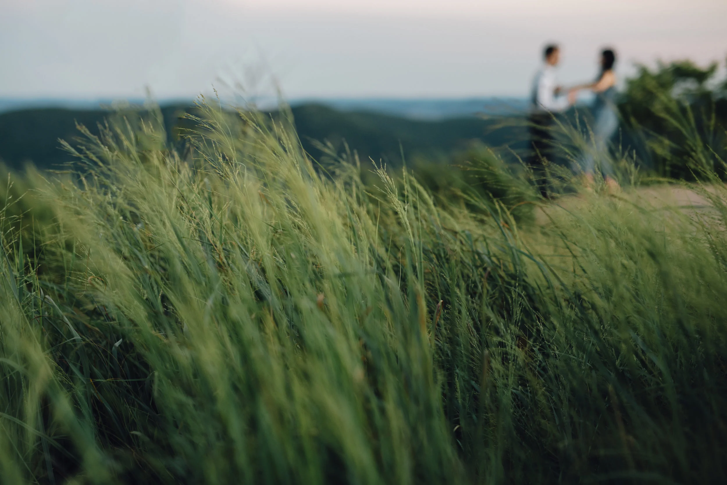 Main and Simple Photography_2016_Engagement_BearMt_L+J-380.jpg