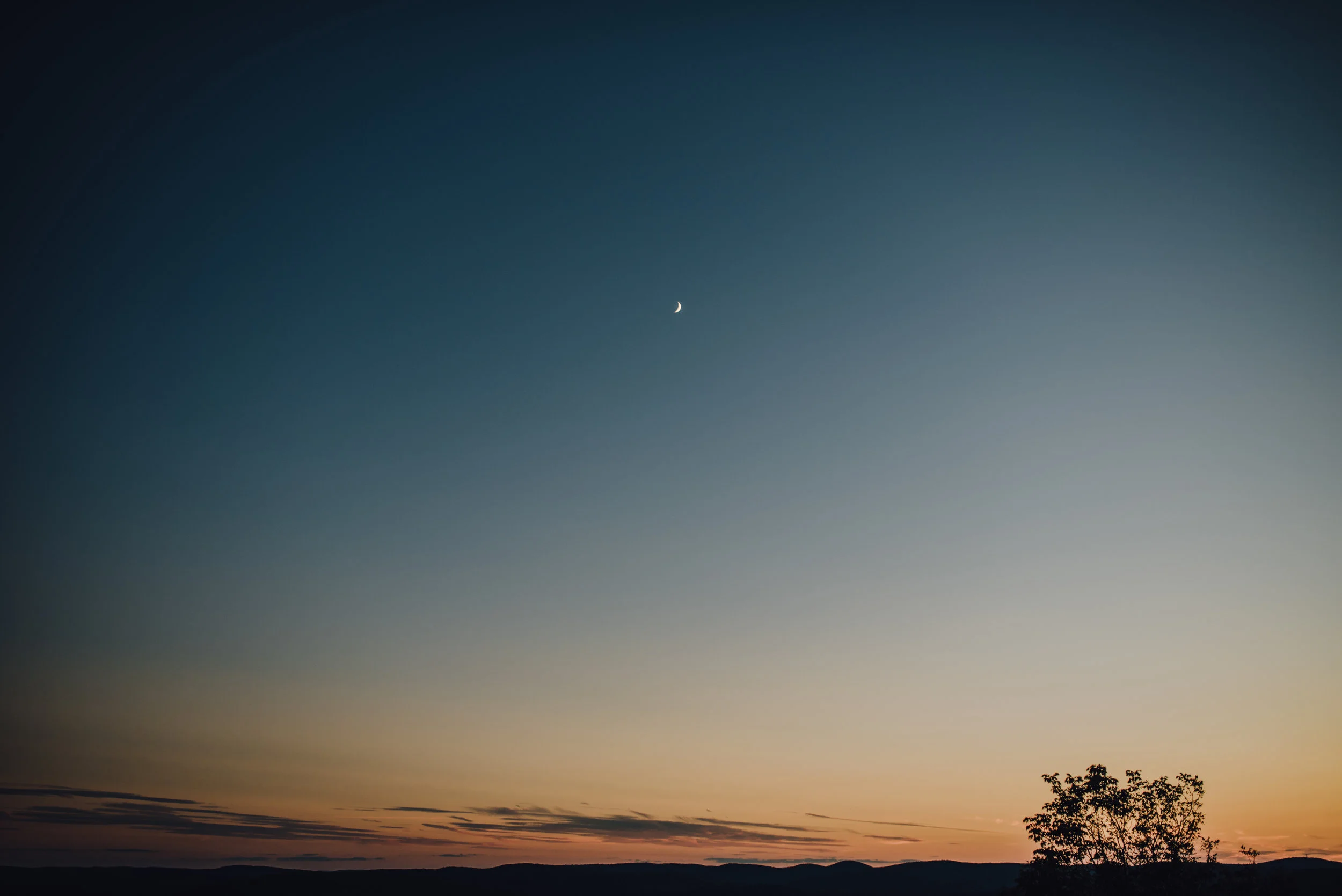 Main and Simple Photography_2016_Engagement_BearMt_L+J-392.jpg