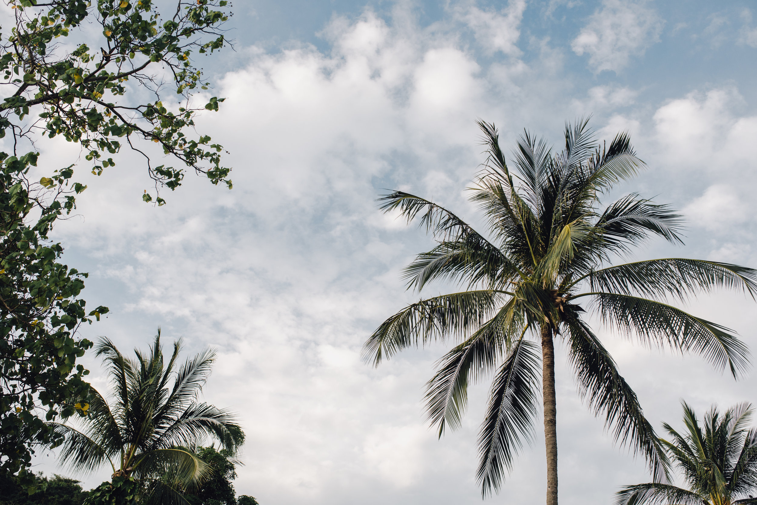 Main and Simple Photography_2016_Engagement_Thailand_B+E_Proposal-22.jpg