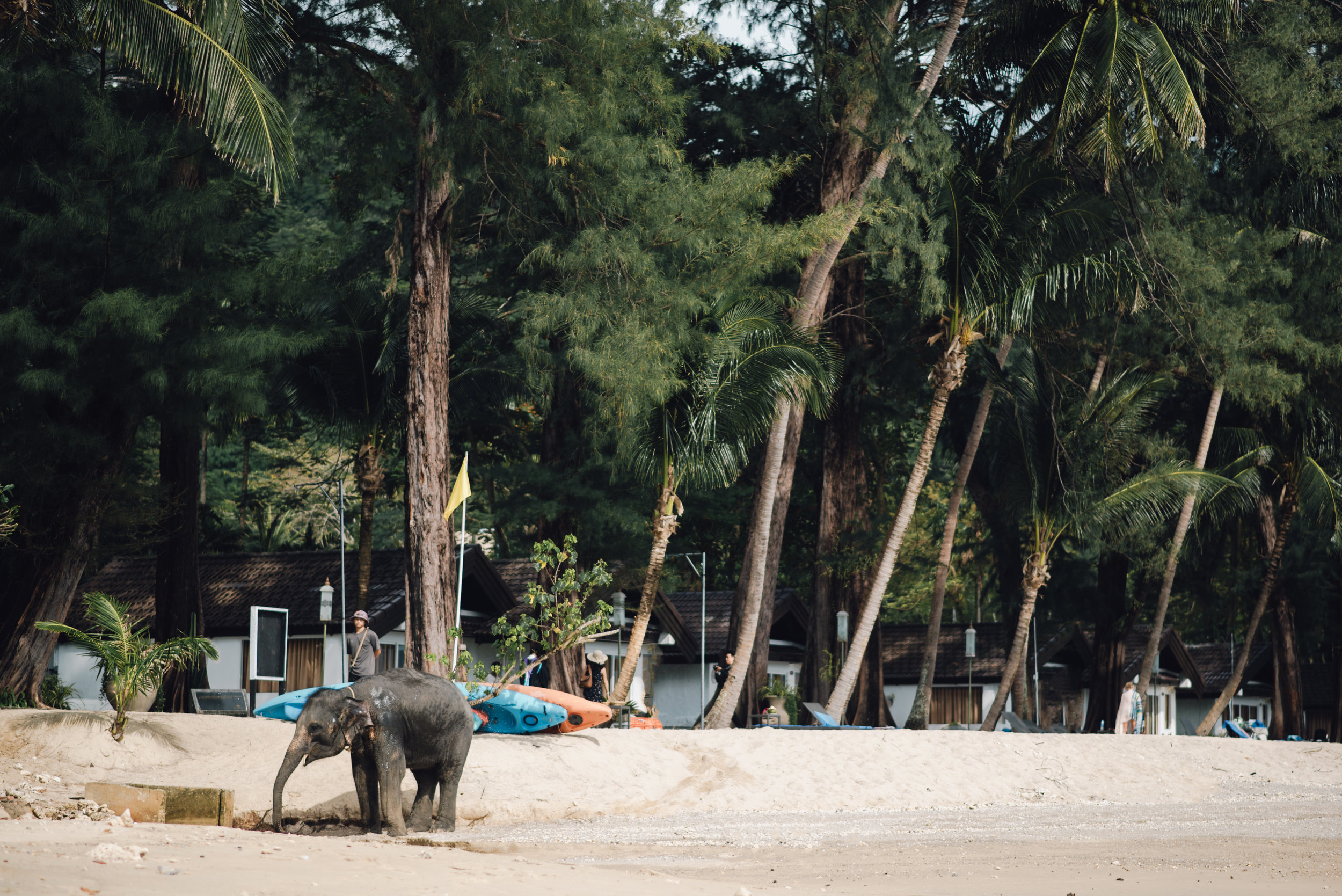 BTS_Main and Simple Photography_2016_Engagement_Thailand_B+E-2.jpg