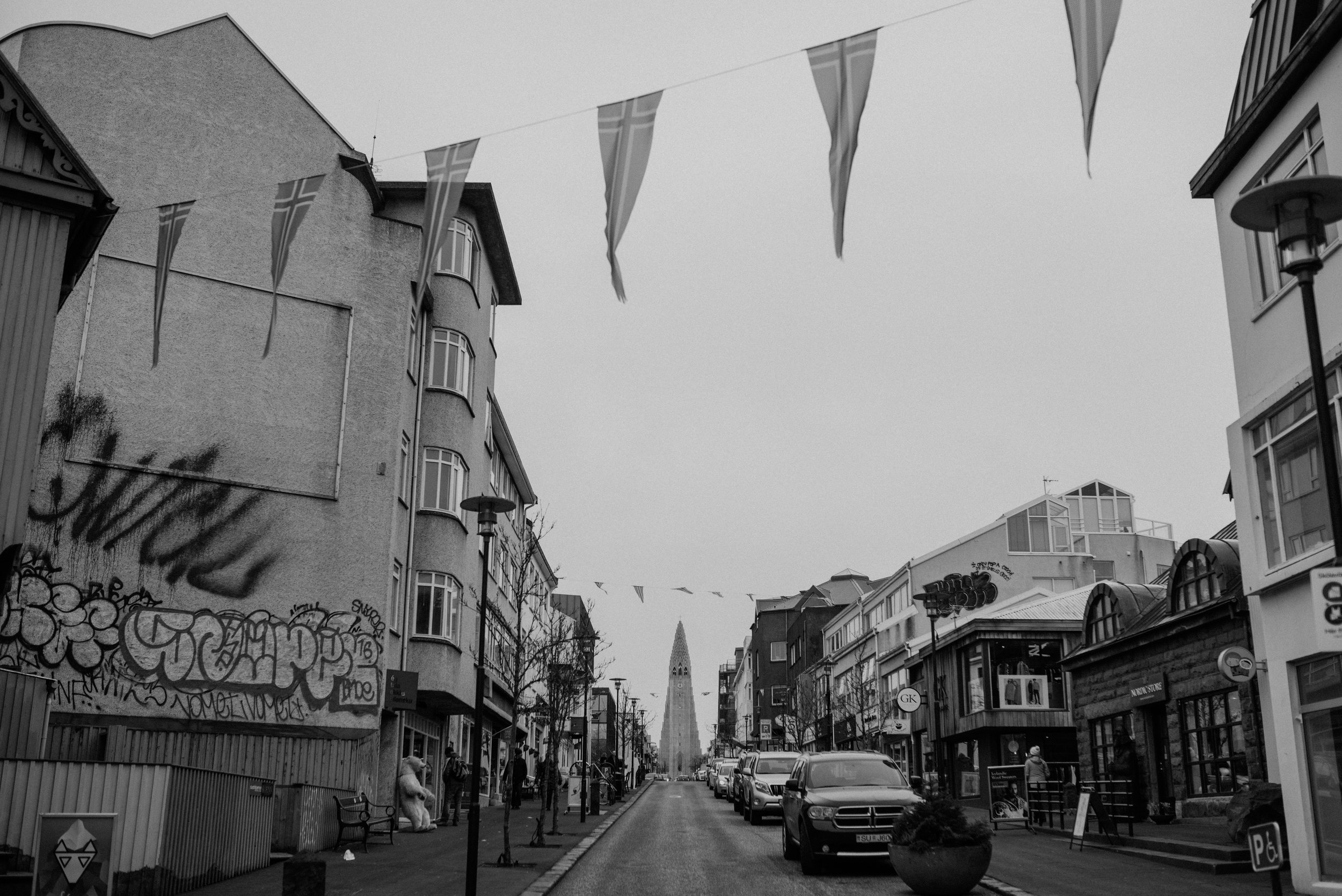 Main and Simple Photography_2017_Travel_April_ICELAND0410-33.jpg