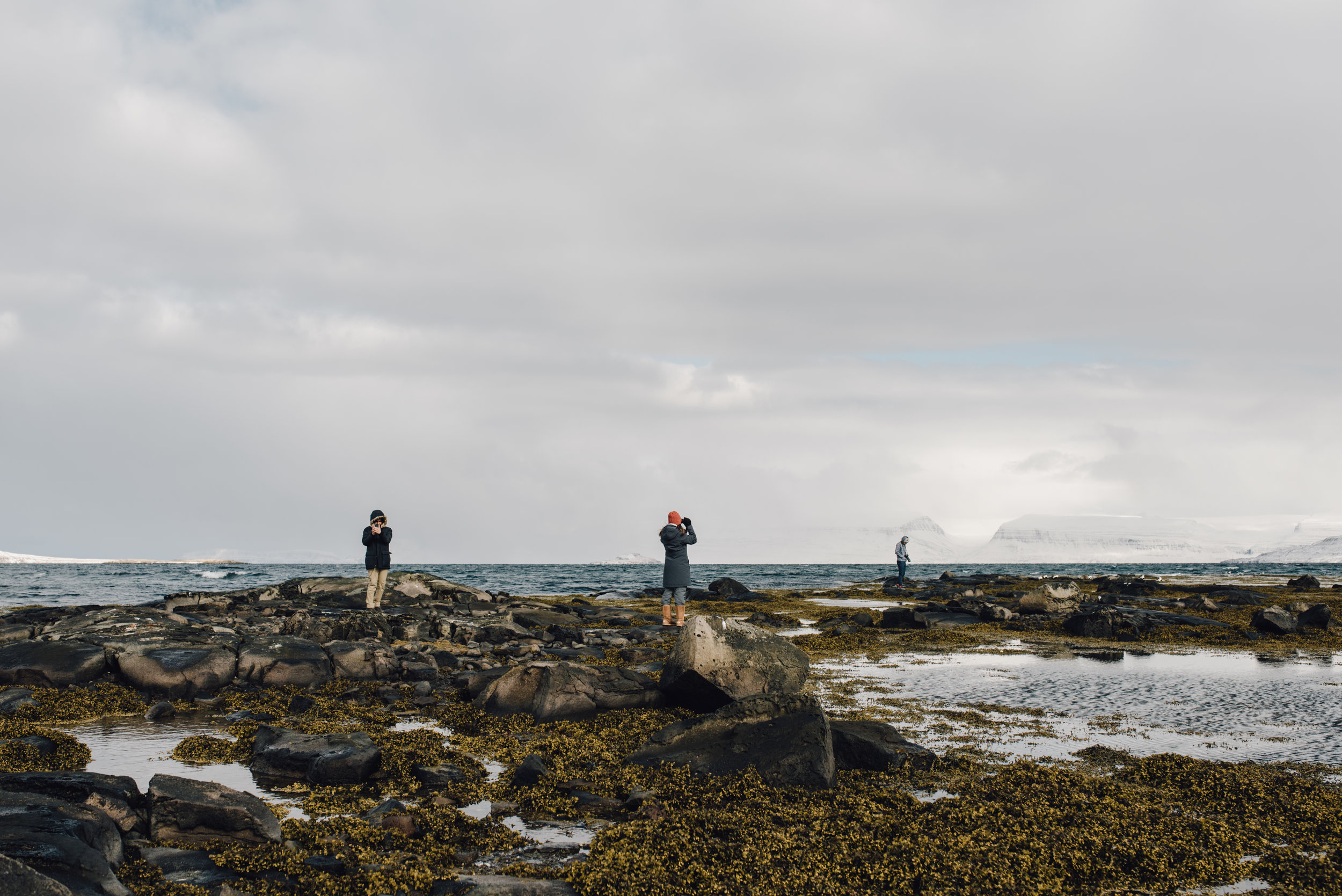 Main and Simple Photography_2017_Travel_April_ICELAND0413-25.jpg