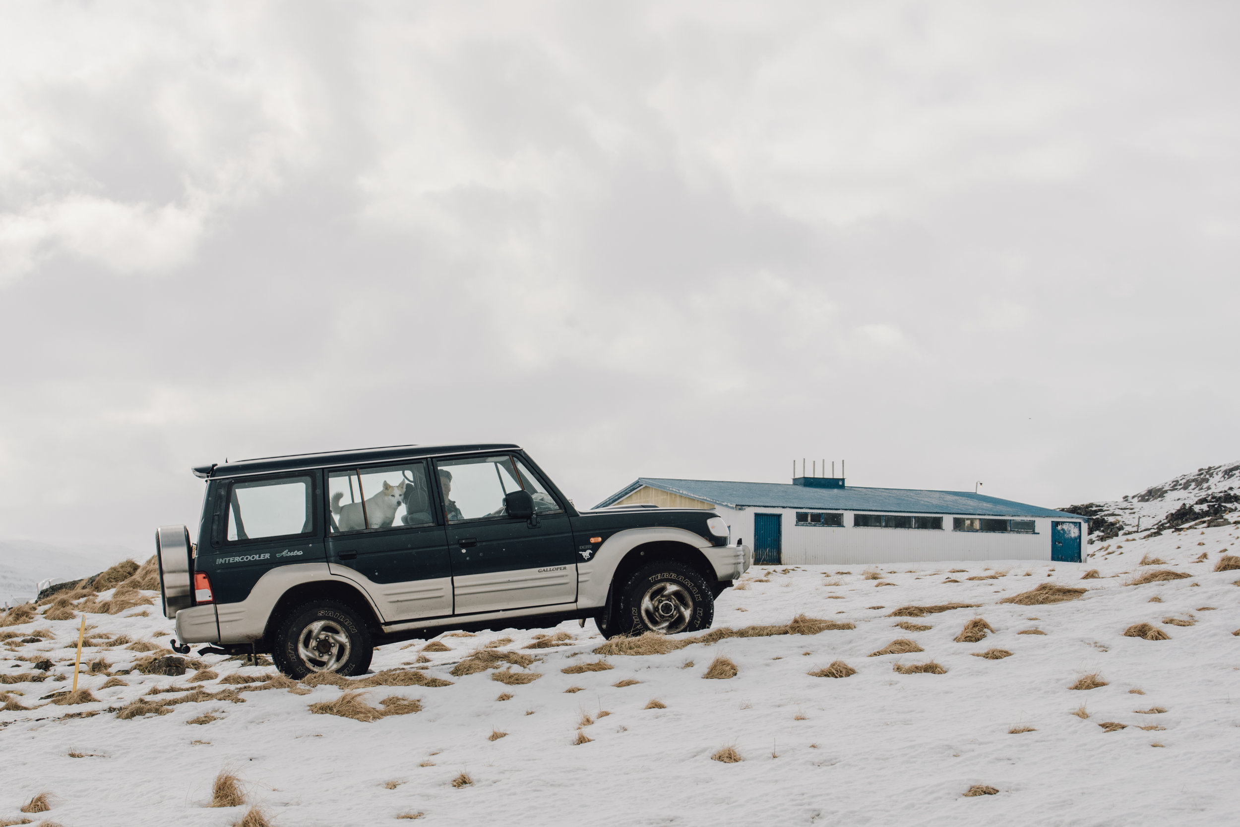 Main and Simple Photography_2017_Travel_April_ICELAND0413-39.jpg