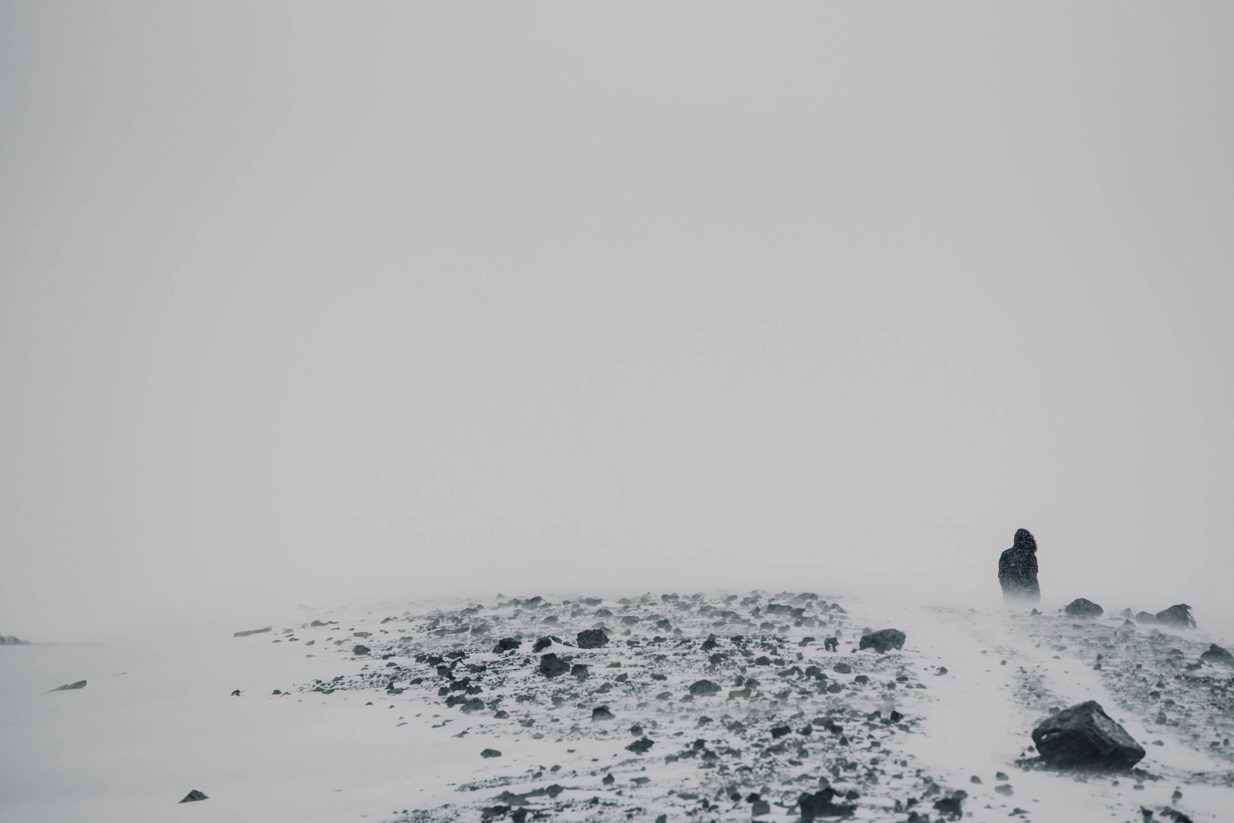 Main and Simple Photography_2017_Travel_April_ICELAND0416-31.jpg
