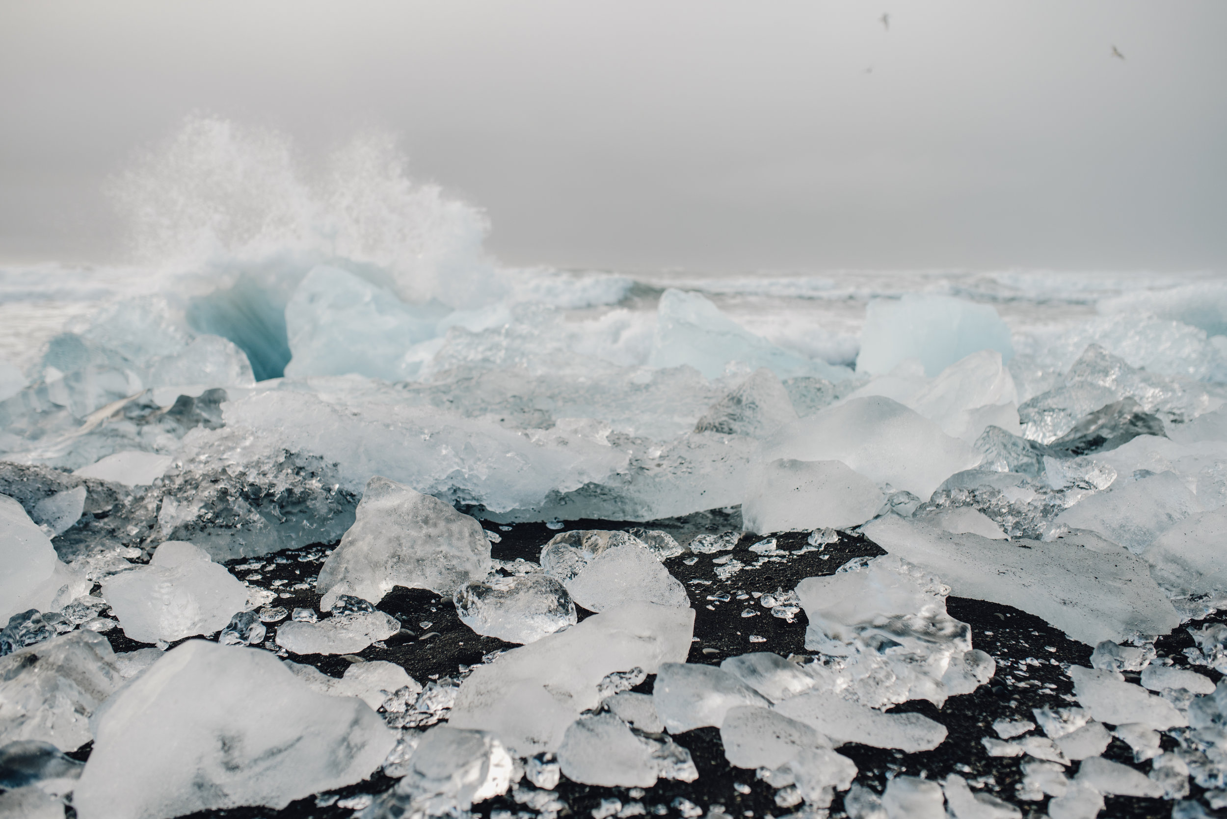 Main and Simple Photography_2017_Travel_April_ICELAND0418-5.jpg