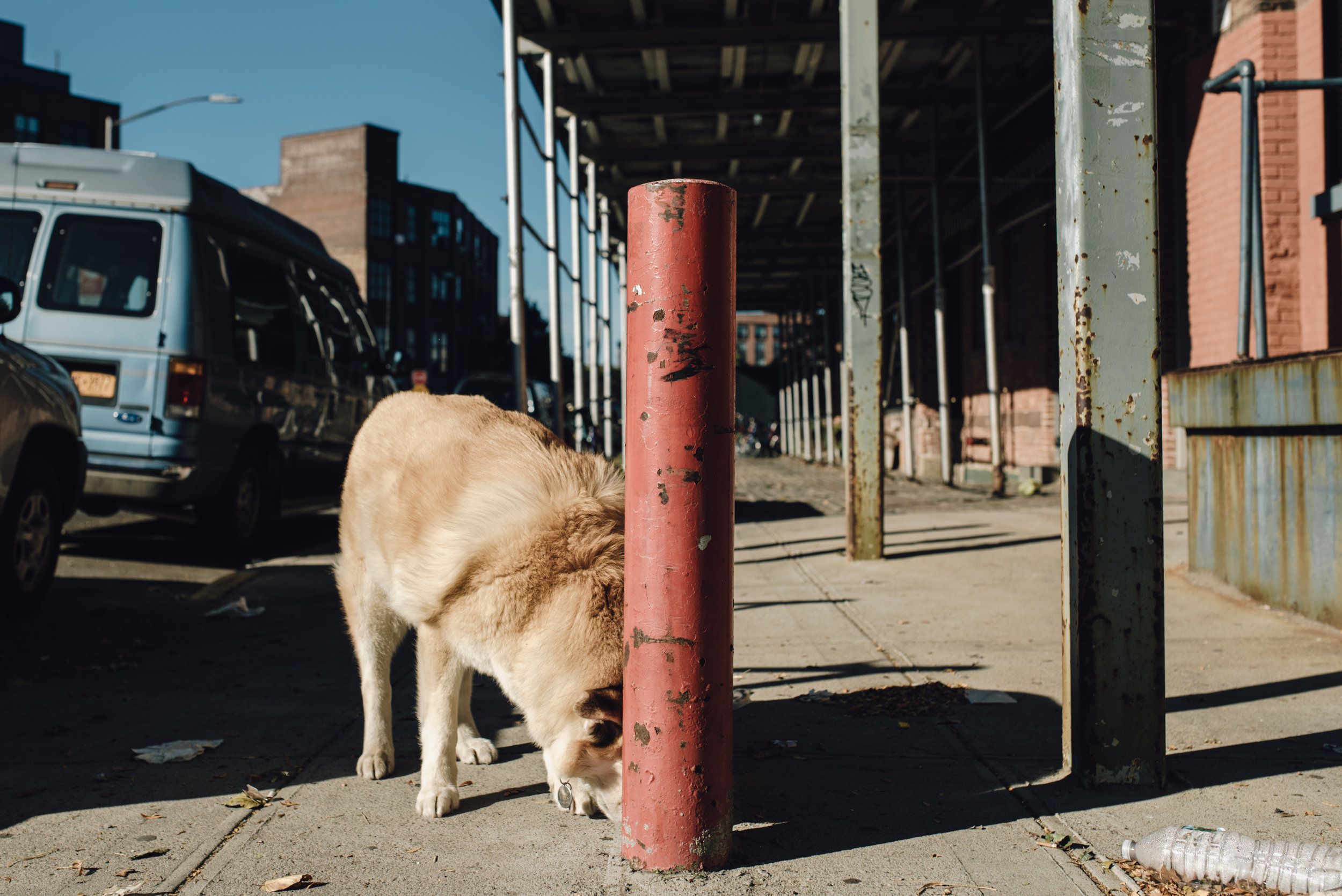 Main and Simple Photography_2017_Engagement_Brooklyn_J+B-195.jpg