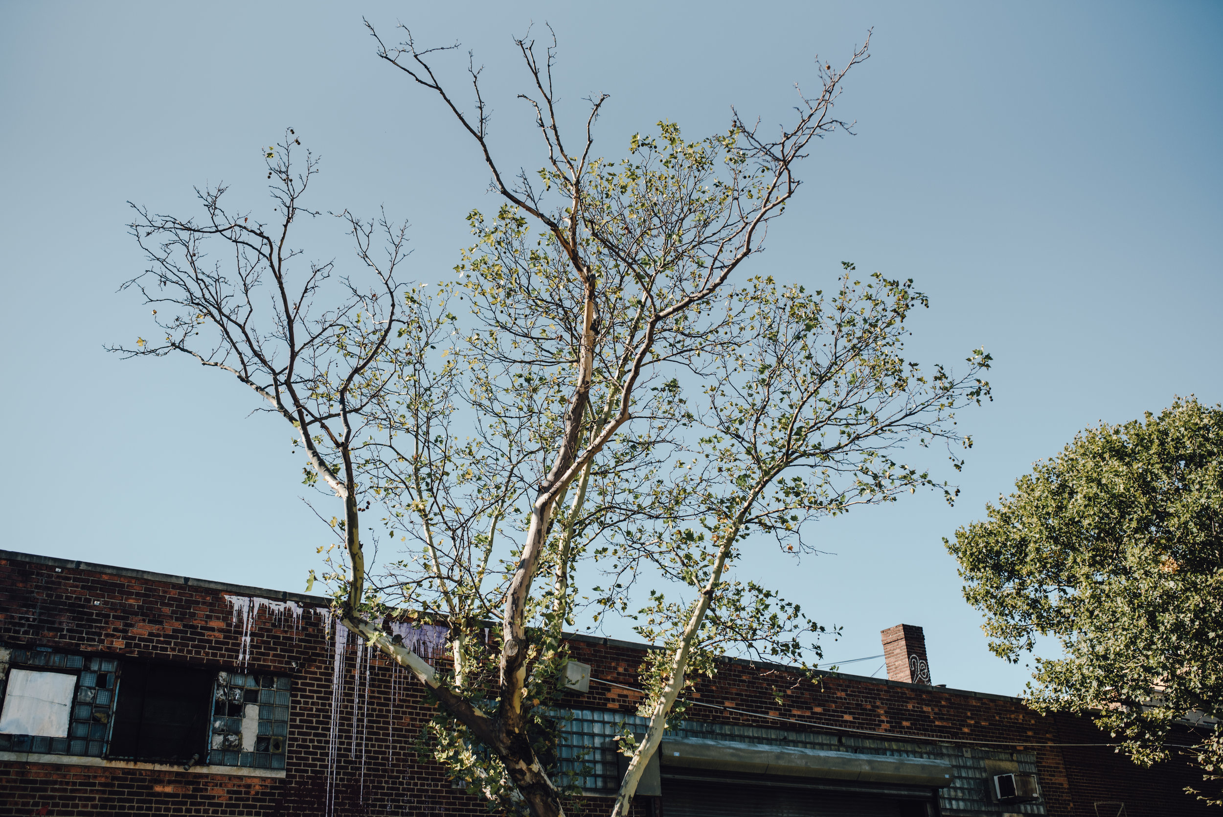 Main and Simple Photography_2017_Engagement_Brooklyn_J+B-274.jpg