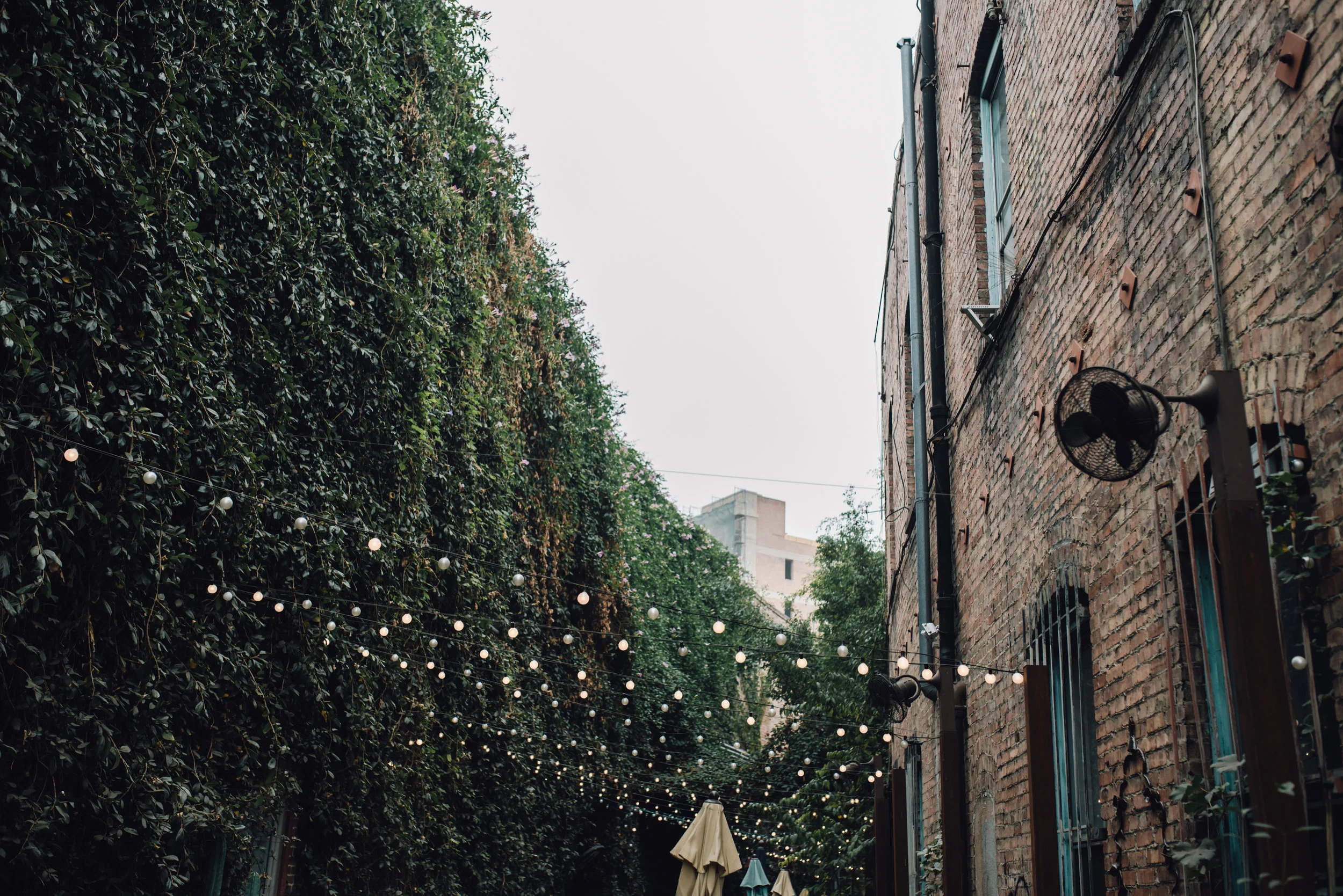 Main and Simple Photography_2017_Engagement_LA_A+B-187.jpg