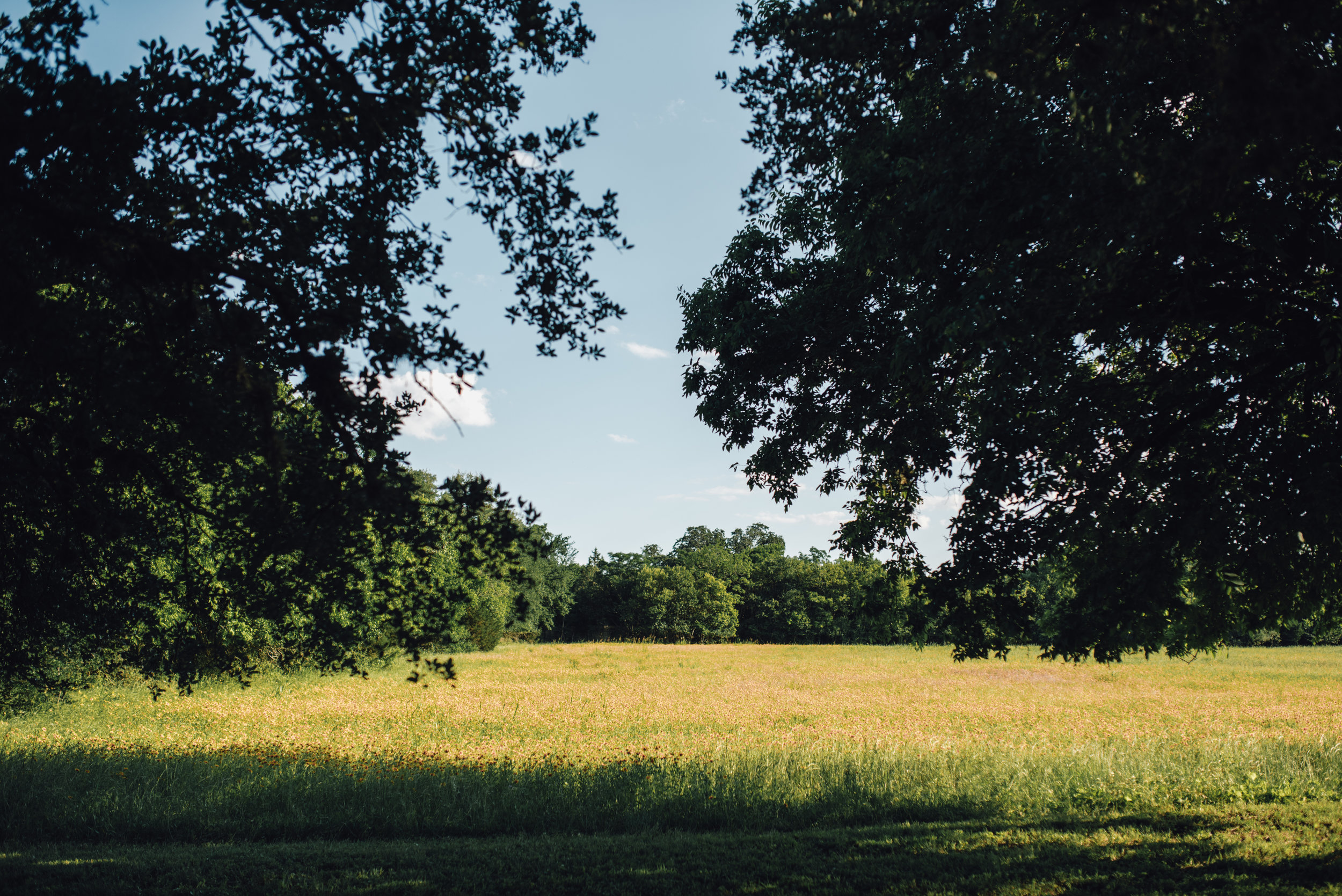 Main and Simple Photography_2018_Weddings_Austin_B+E-787.jpg