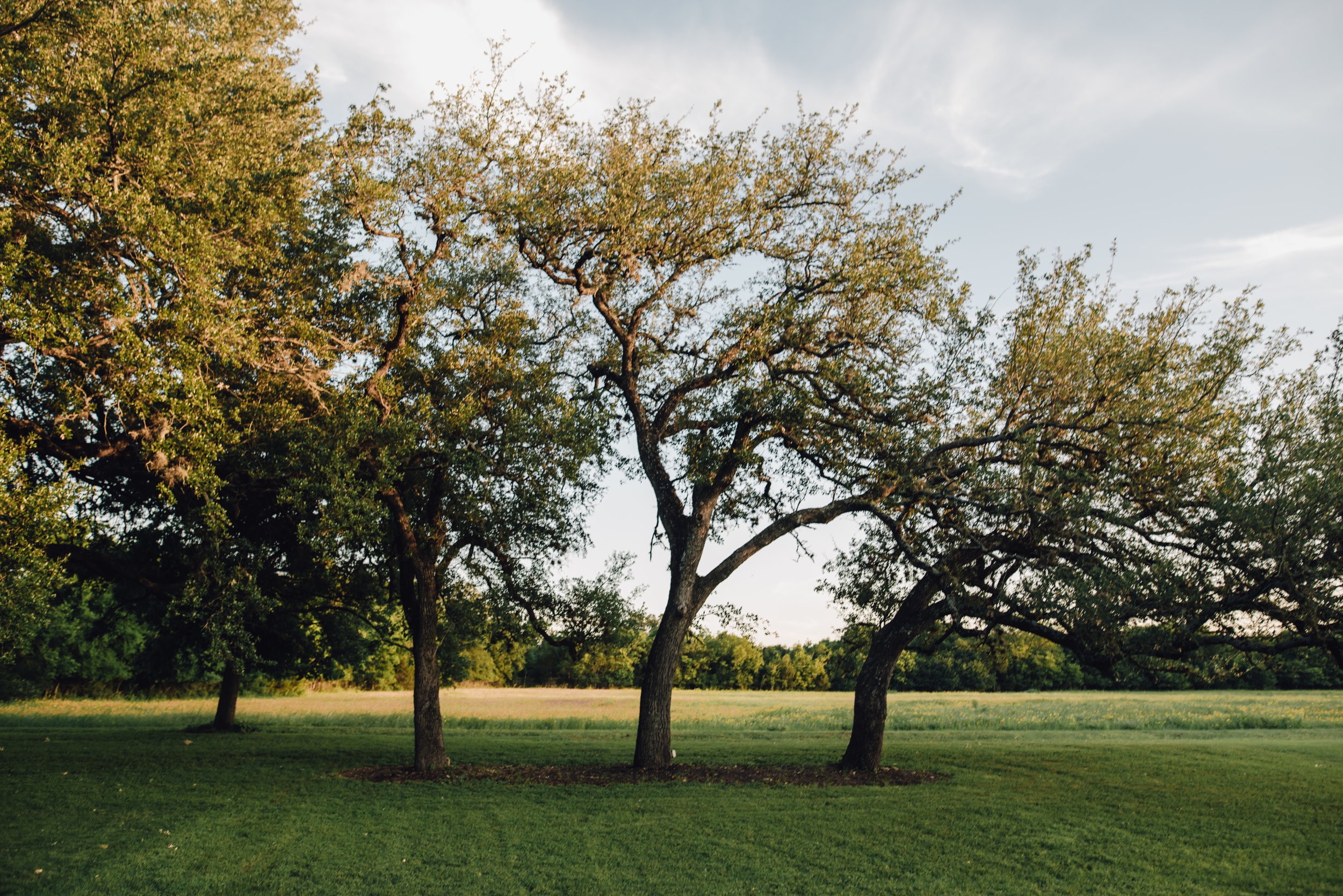 Main and Simple Photography_2018_Weddings_Austin_B+E-1484.jpg