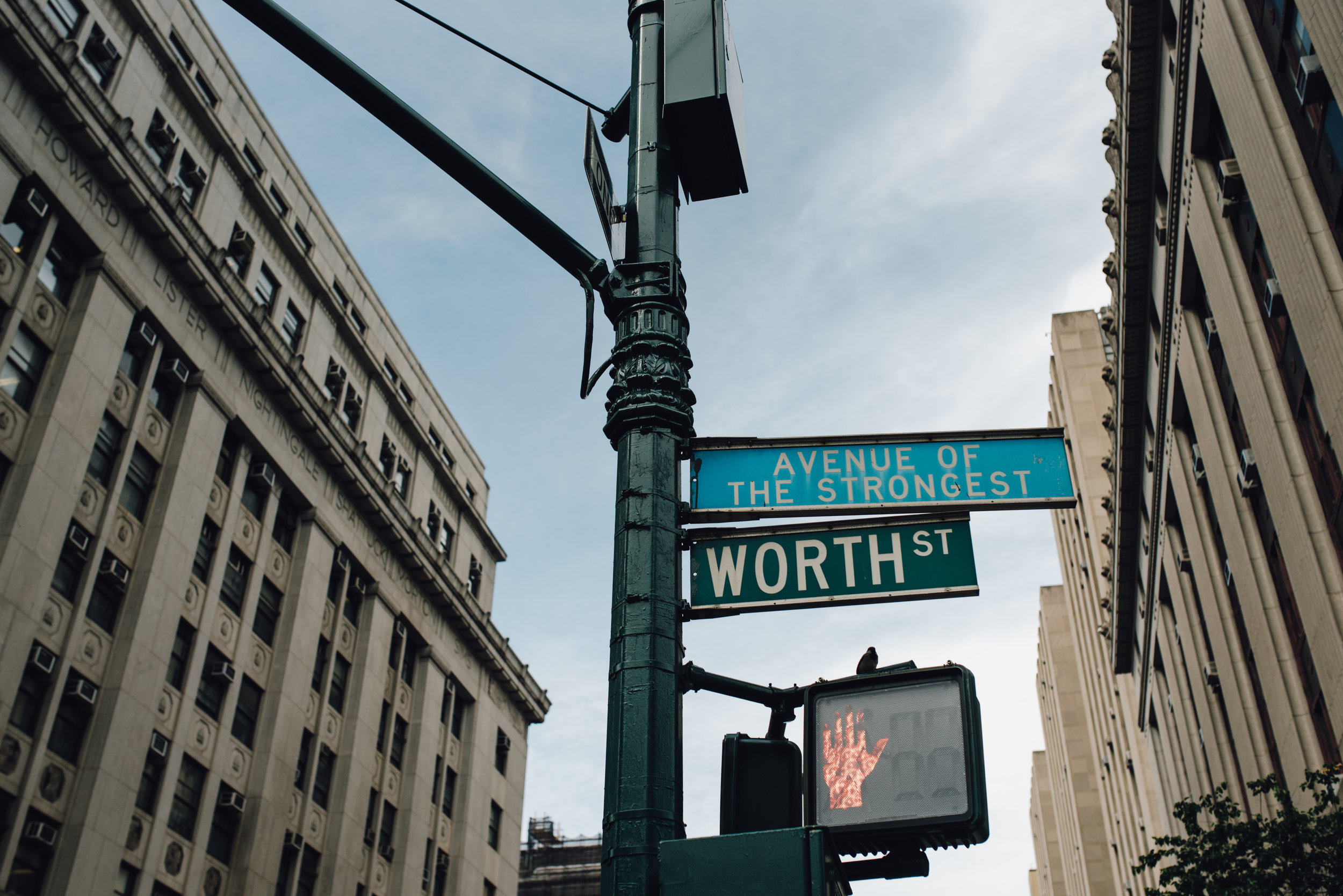 Main and Simple Photography_2018_Elopement_NYC_E+A-282.jpg