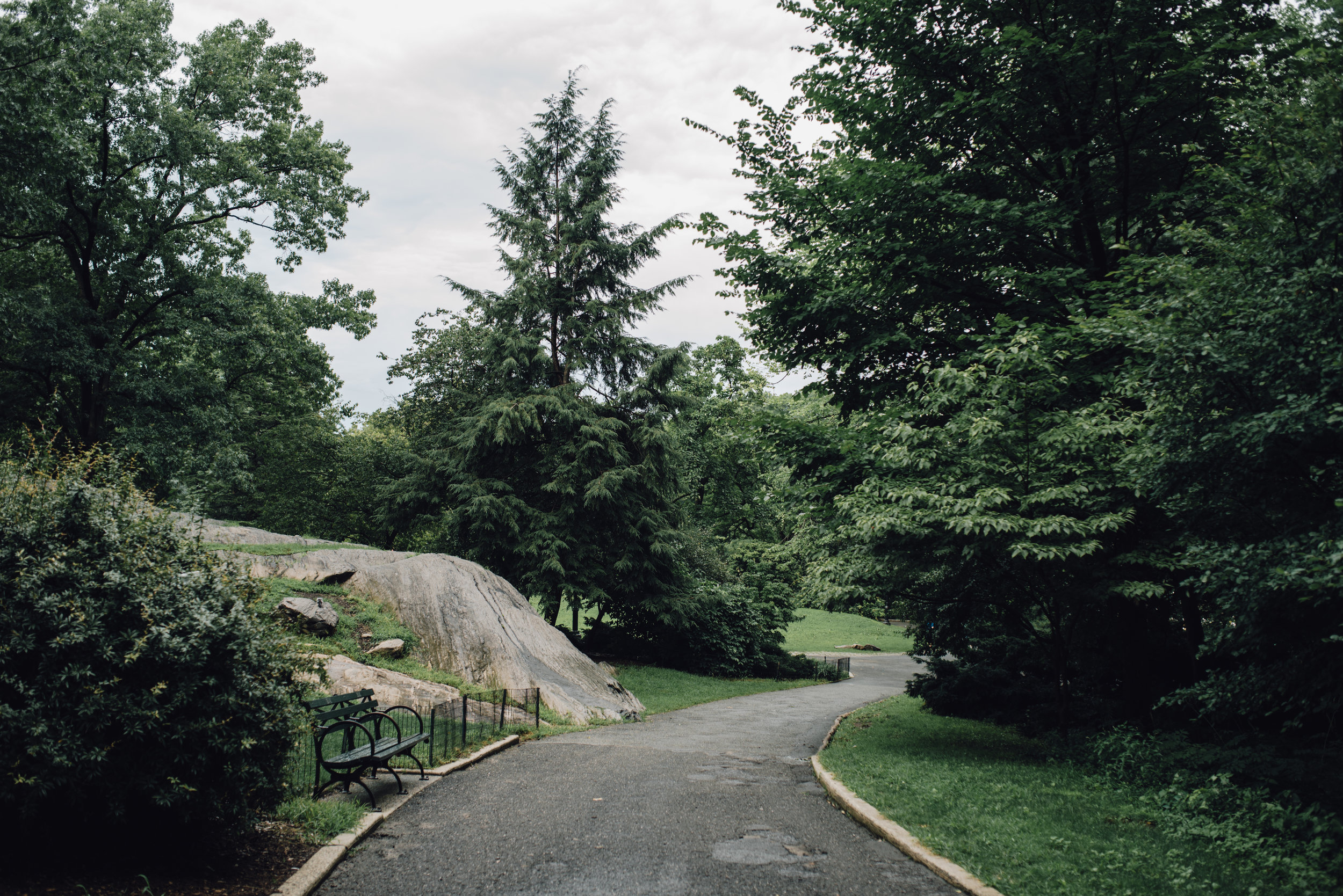 Main and Simple Photography_2018_Elopement_NYC_E+A-899.jpg