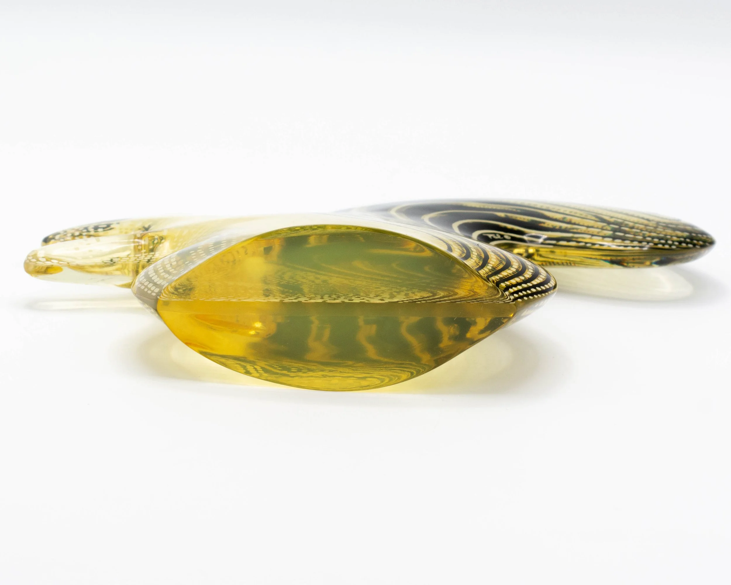 Pro-Capture One 5434.jpg