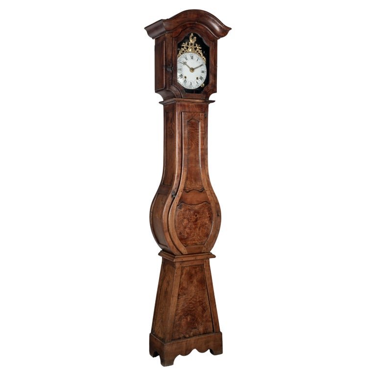 19th Century French Tall Case Clock or Horloge de Parquet