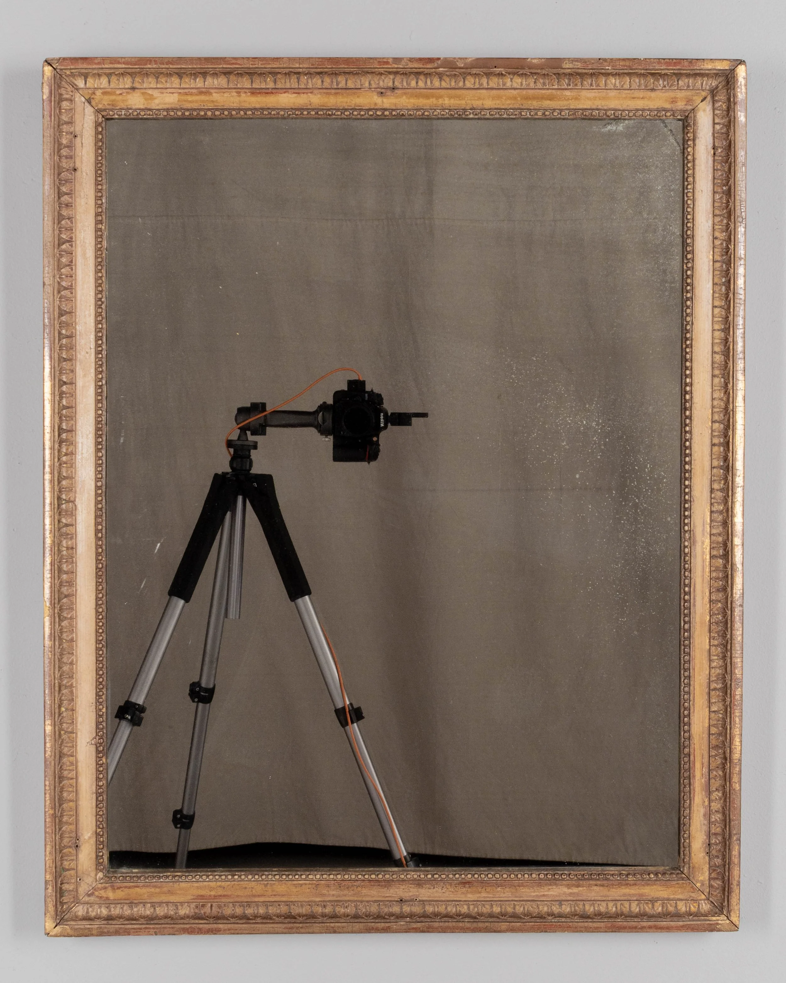 19th Century Louis XVI Style Gilded Mirror