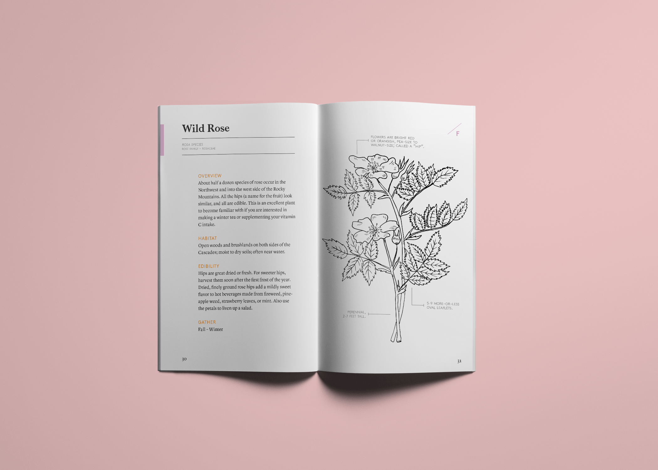 Gather_Spread8.png