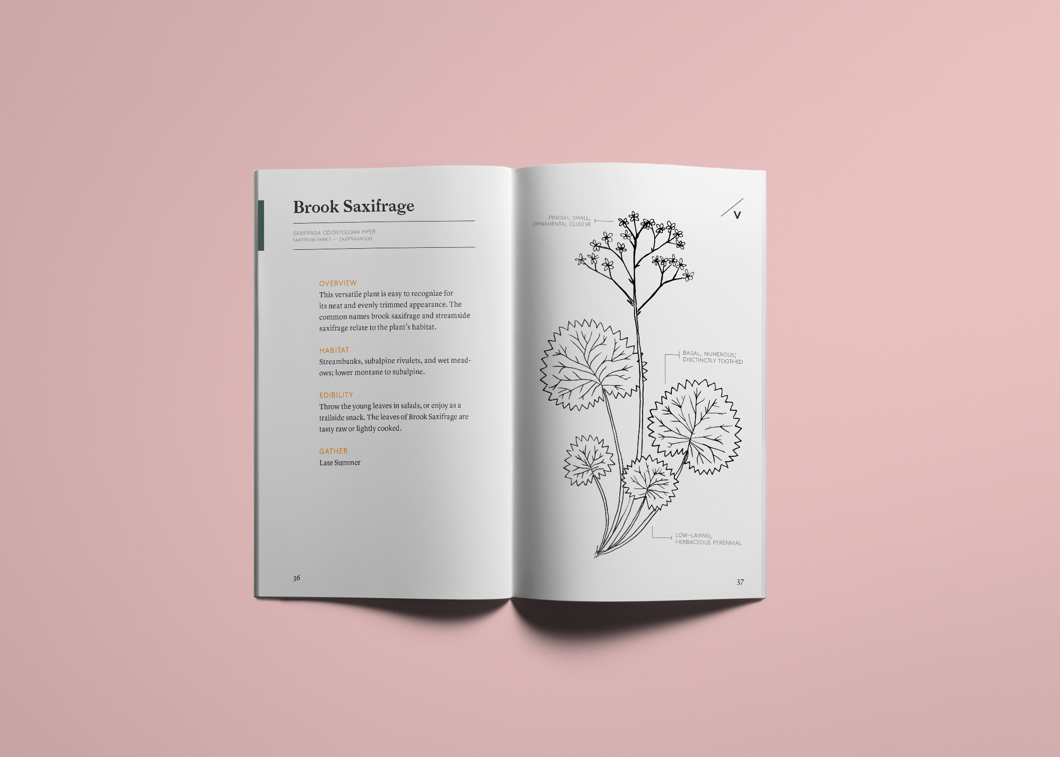 Gather_Spread10.png