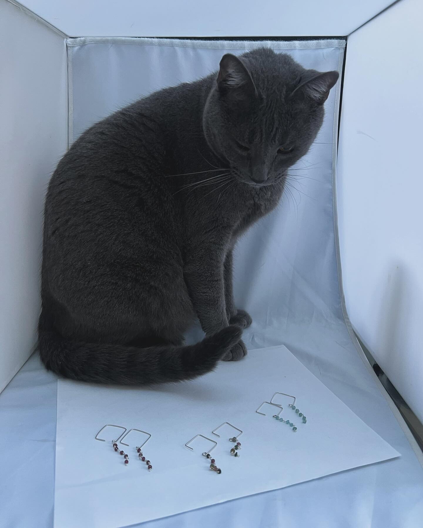 Photo bomb during a photo shoot. 😮 
Momo the cat can&rsquo;t decide which ones he likes. 🤪 or does he just want attention?

What does your pet do to get your attention?

#photoshoot #photobomb #catlover #russianblue #newcreations #earrings