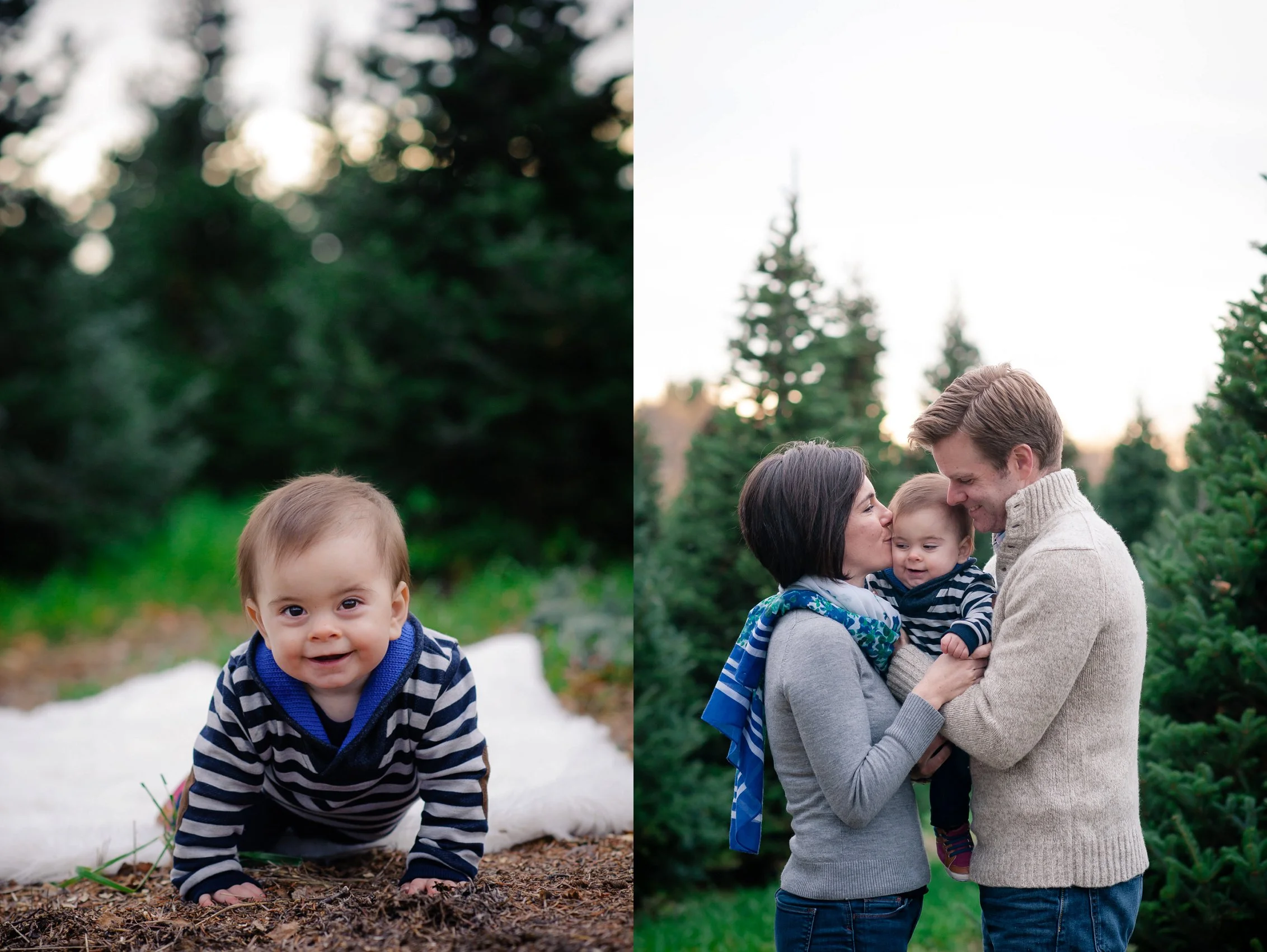 Carroll Family Winter Portraits Beverly Tree Farm — Cassandra Lauren