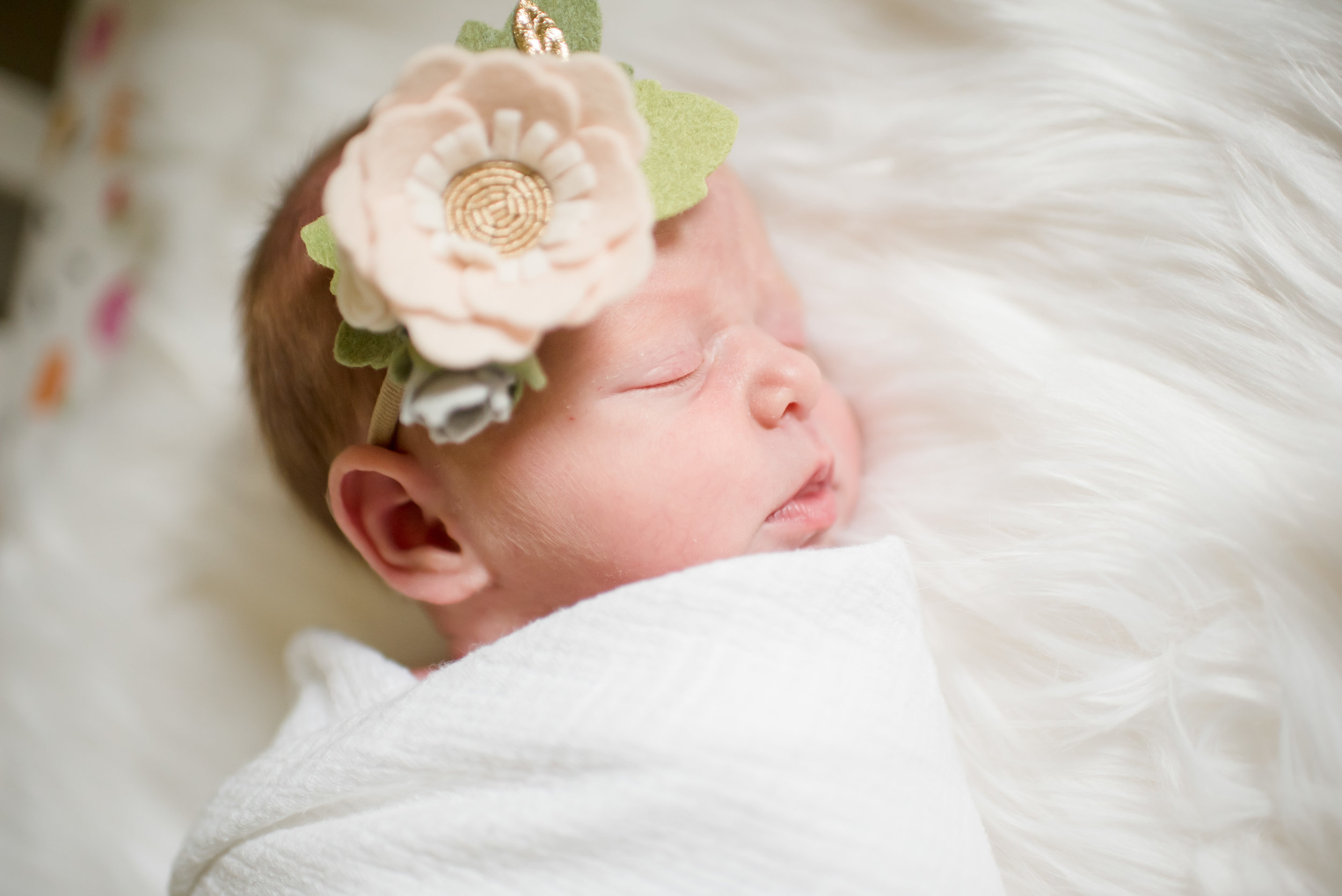 Ellis family newborn-9.jpg