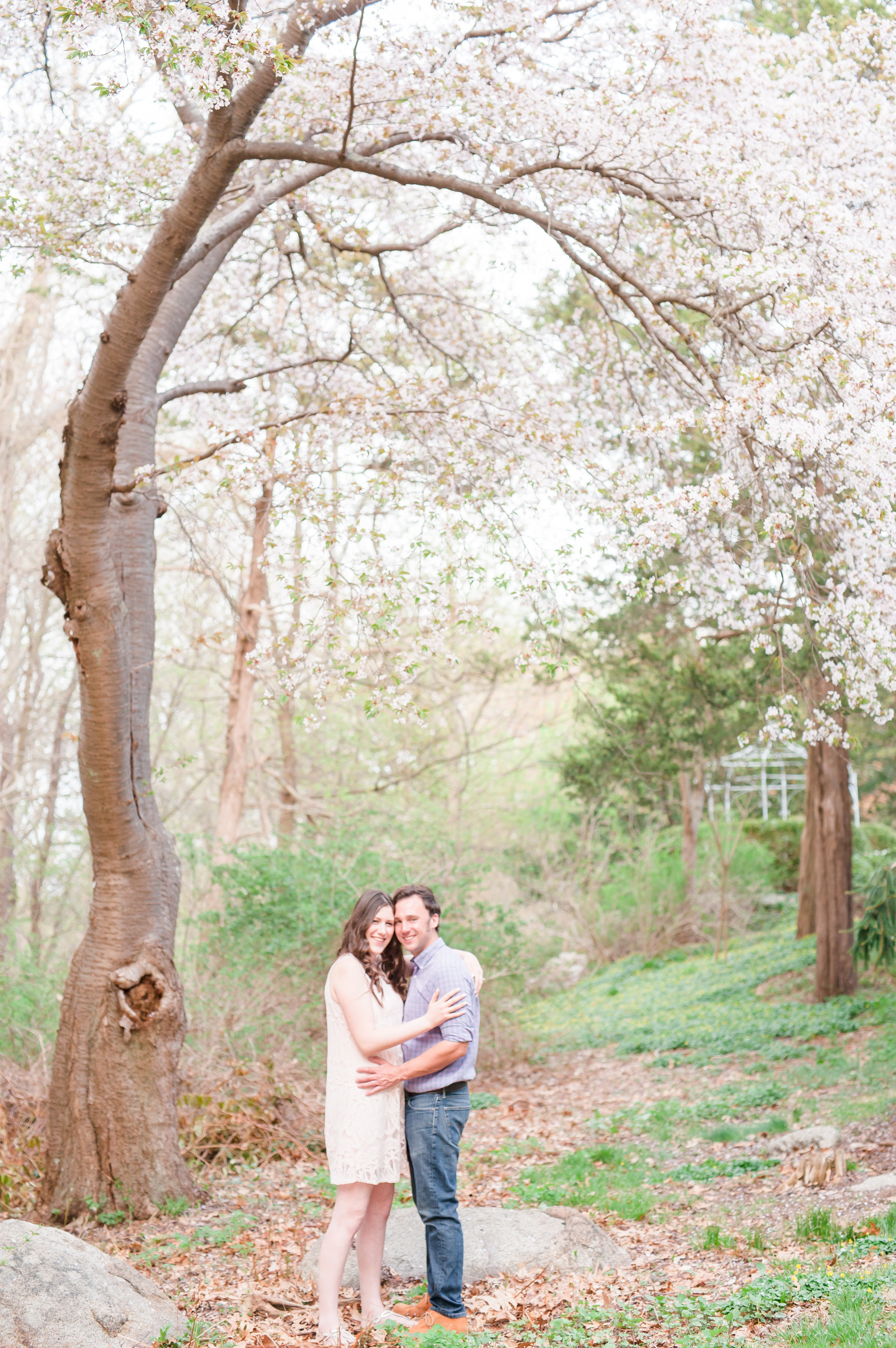 Sean and Nicole Beverly spring blossom engagement-4.jpg