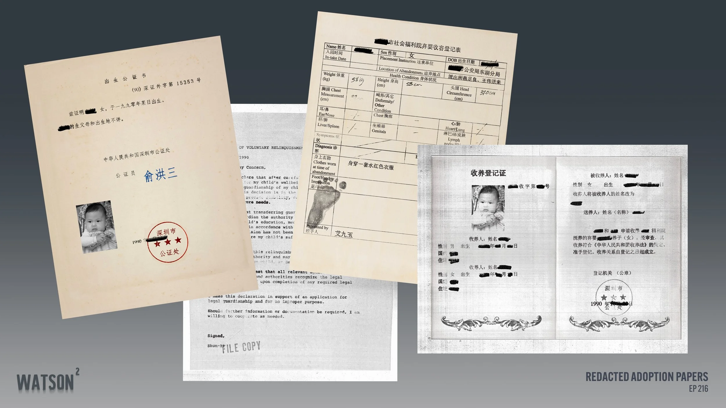 WATSON_S2_AdoptionPapers.jpg