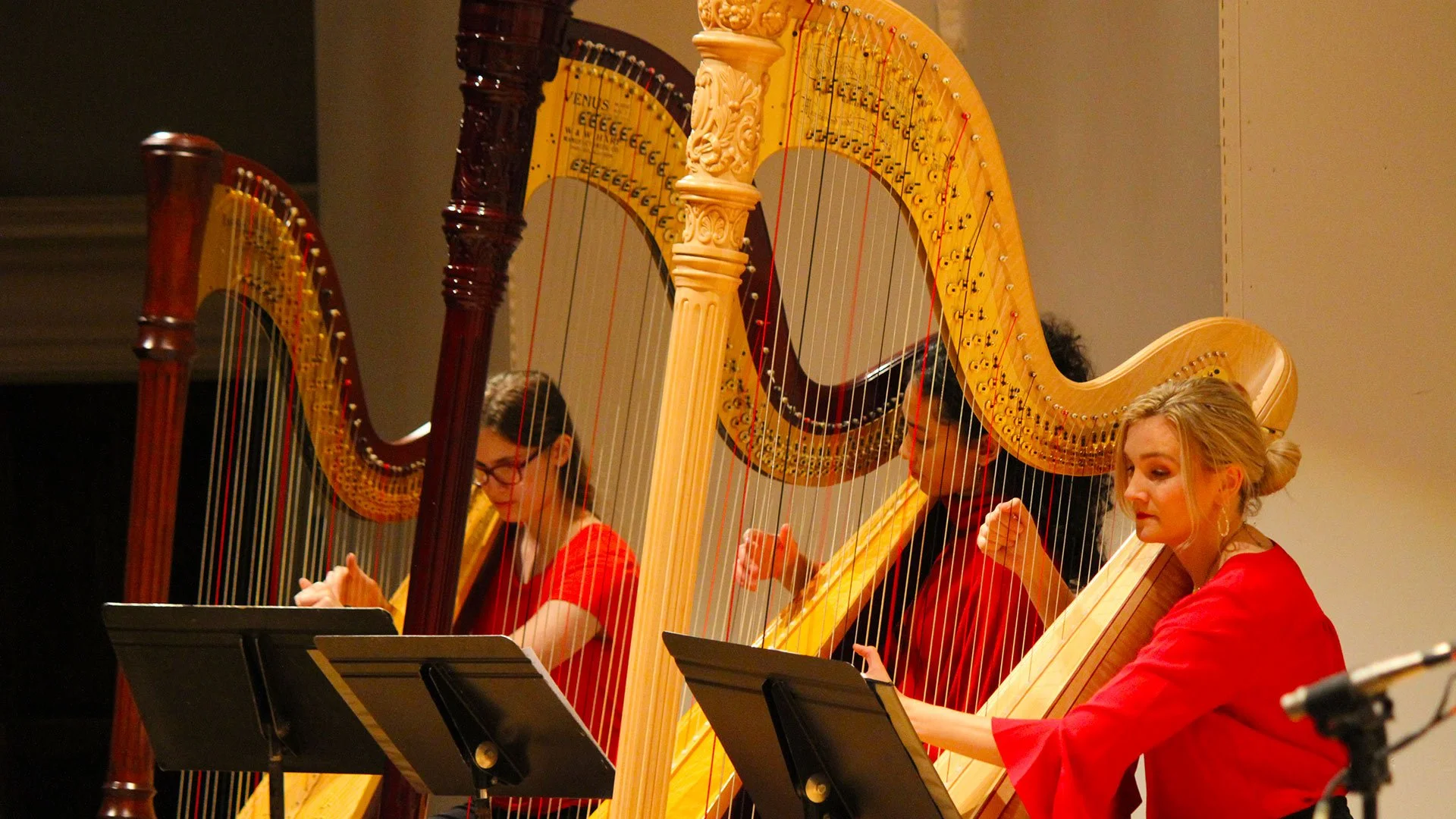 Guilford-Harp.jpg