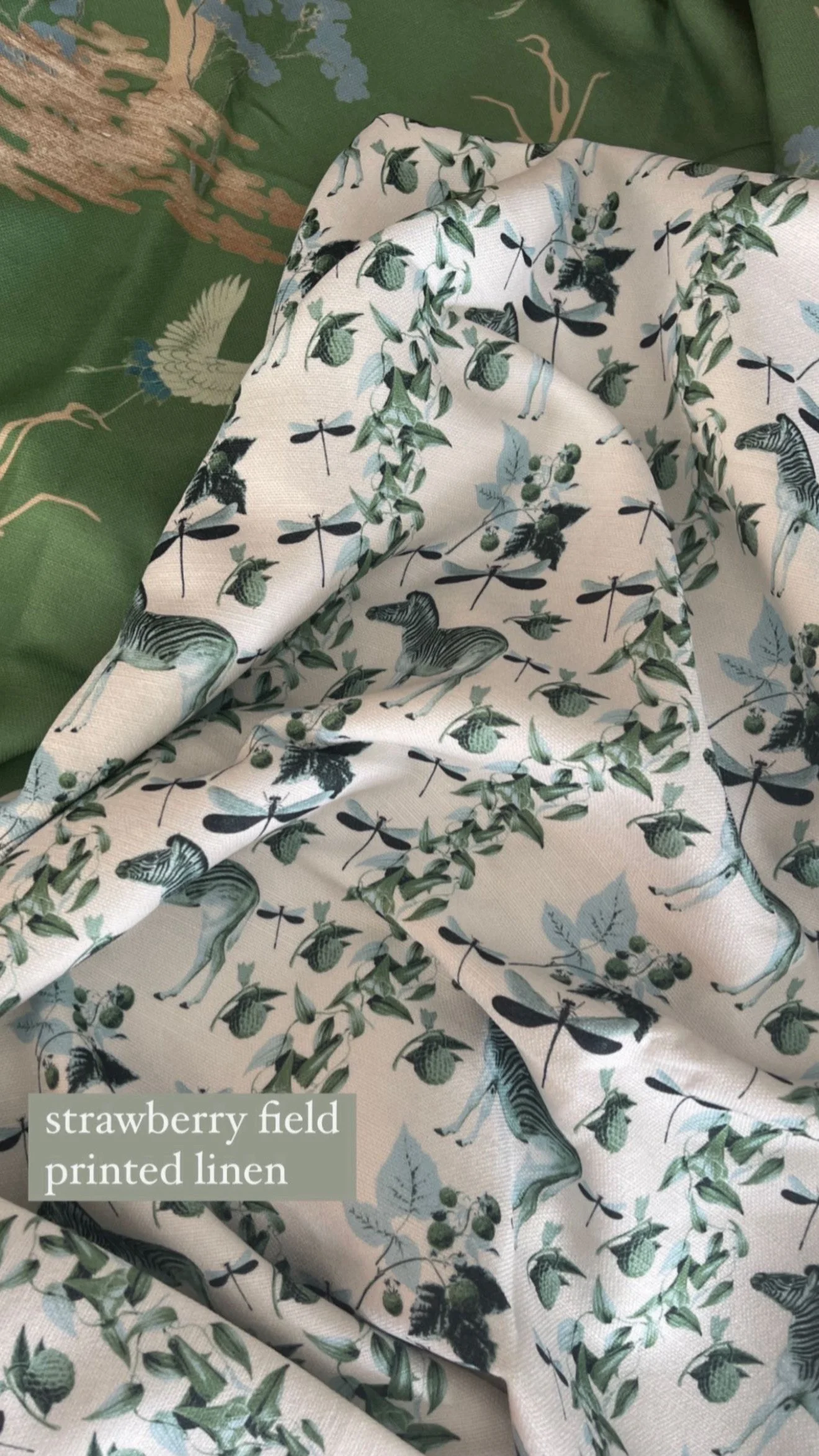 1C1509B0-3480-4E0E-8B2C-704453241AB1.jpeg