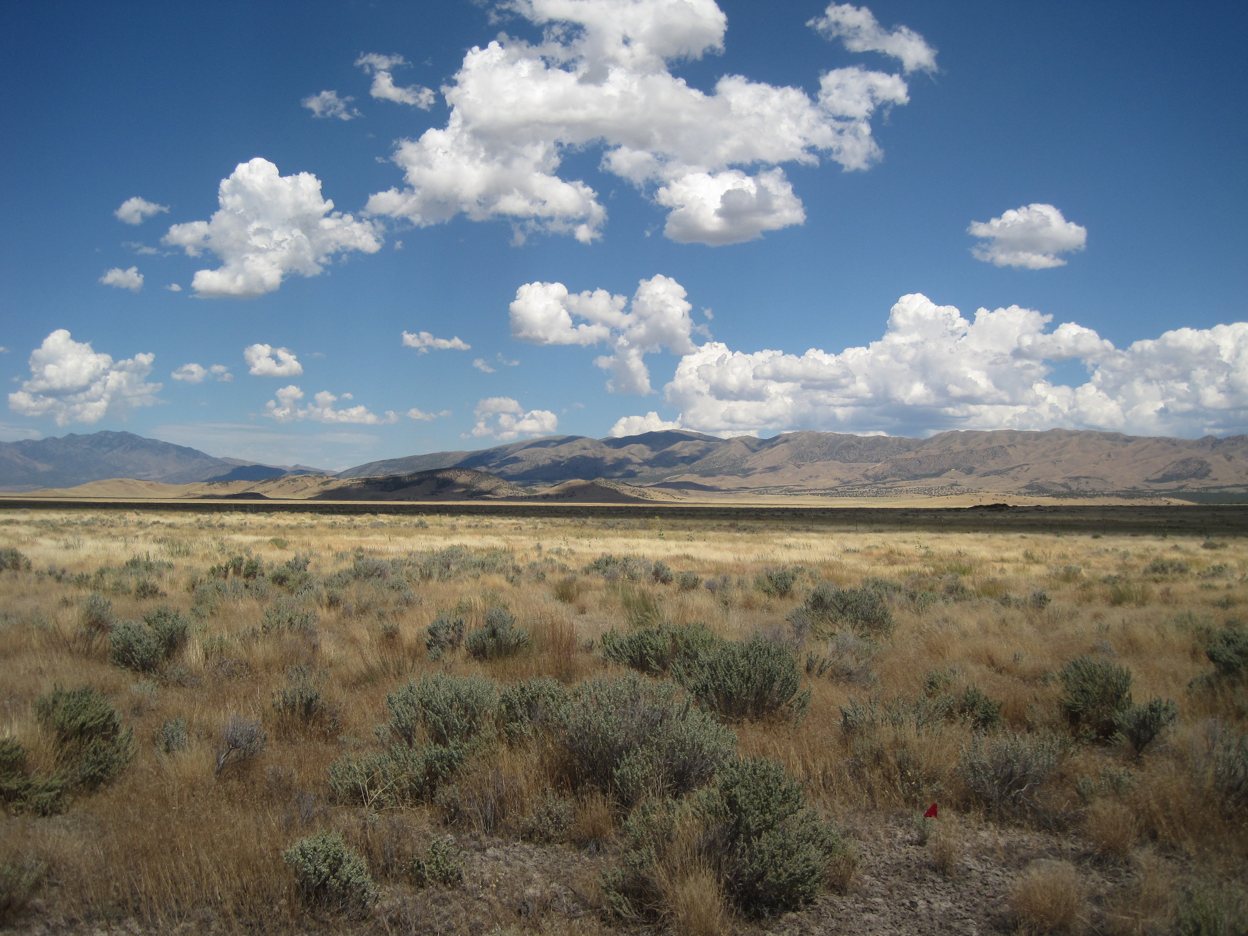 utah_grassland.JPG