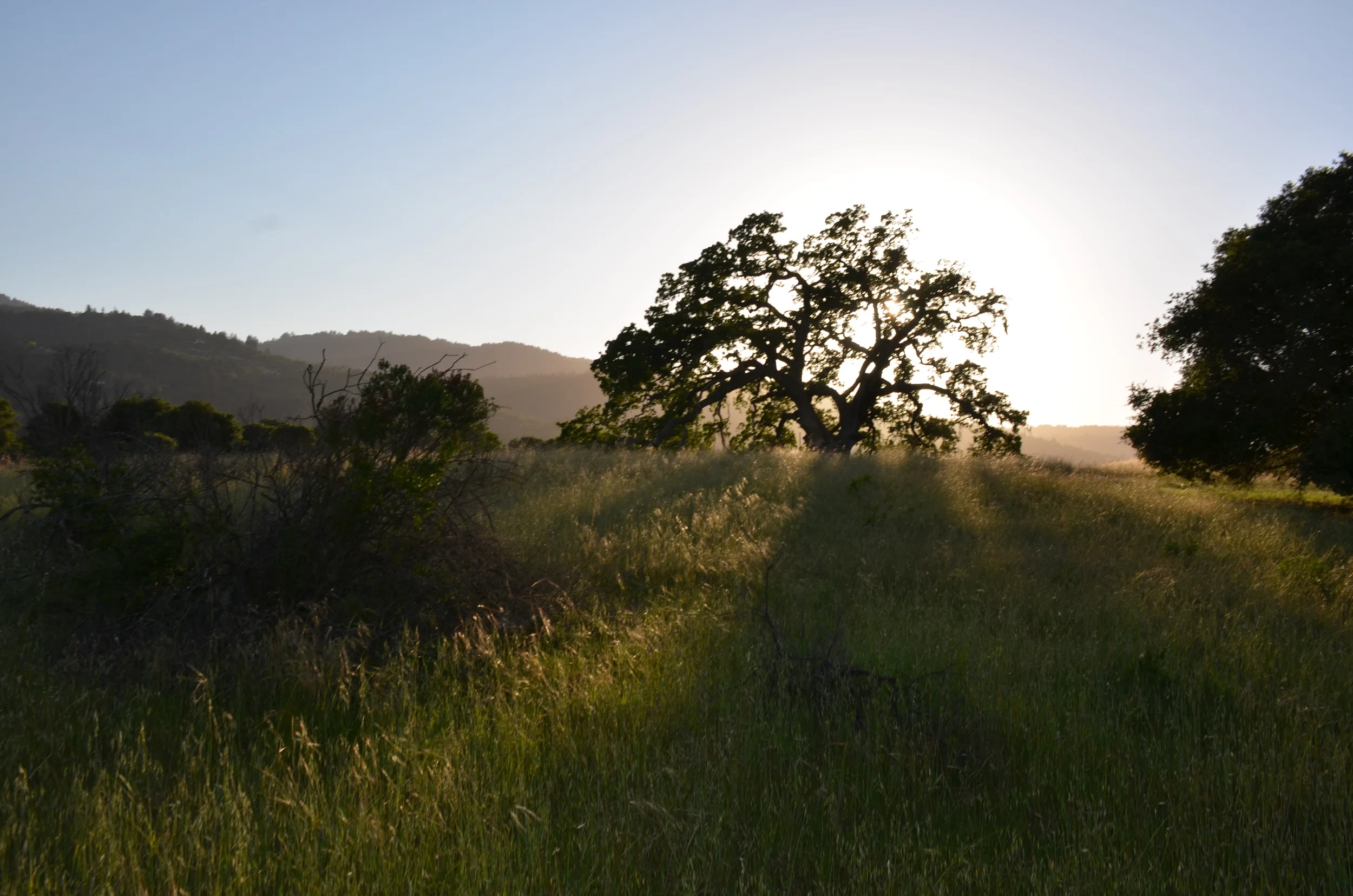 DSC_0585.JPG
