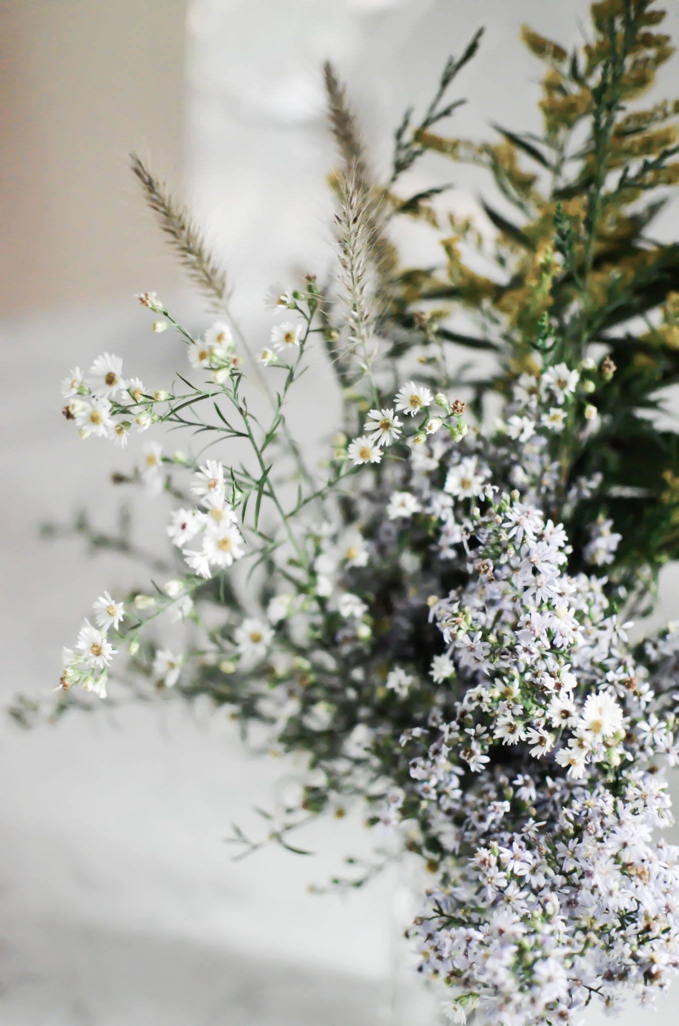 Wendling_Boyd__Wild_Flowers-5.jpg