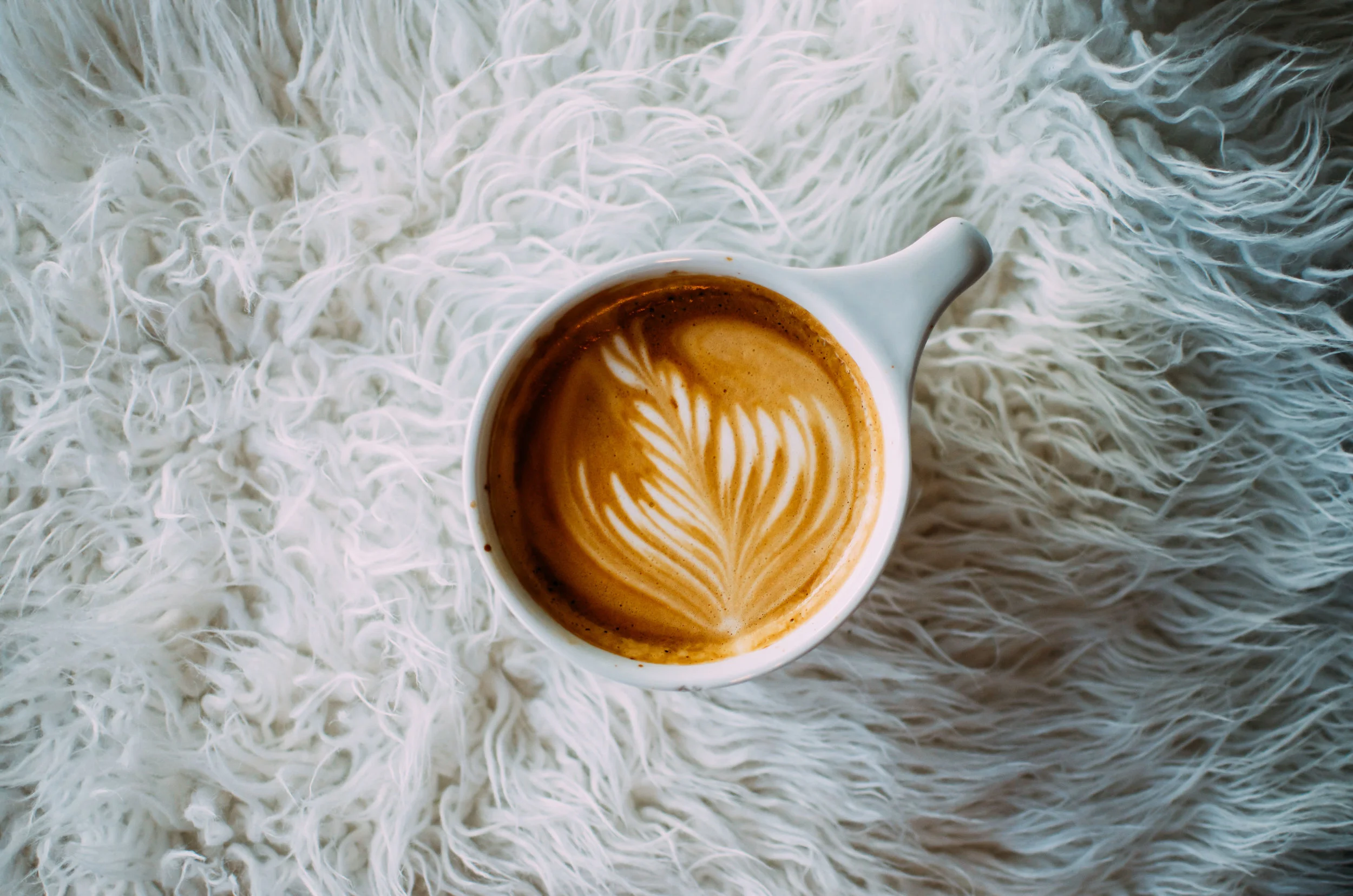 Wendling_Boyd_Coffee_Guide_Bay_City-9.jpg