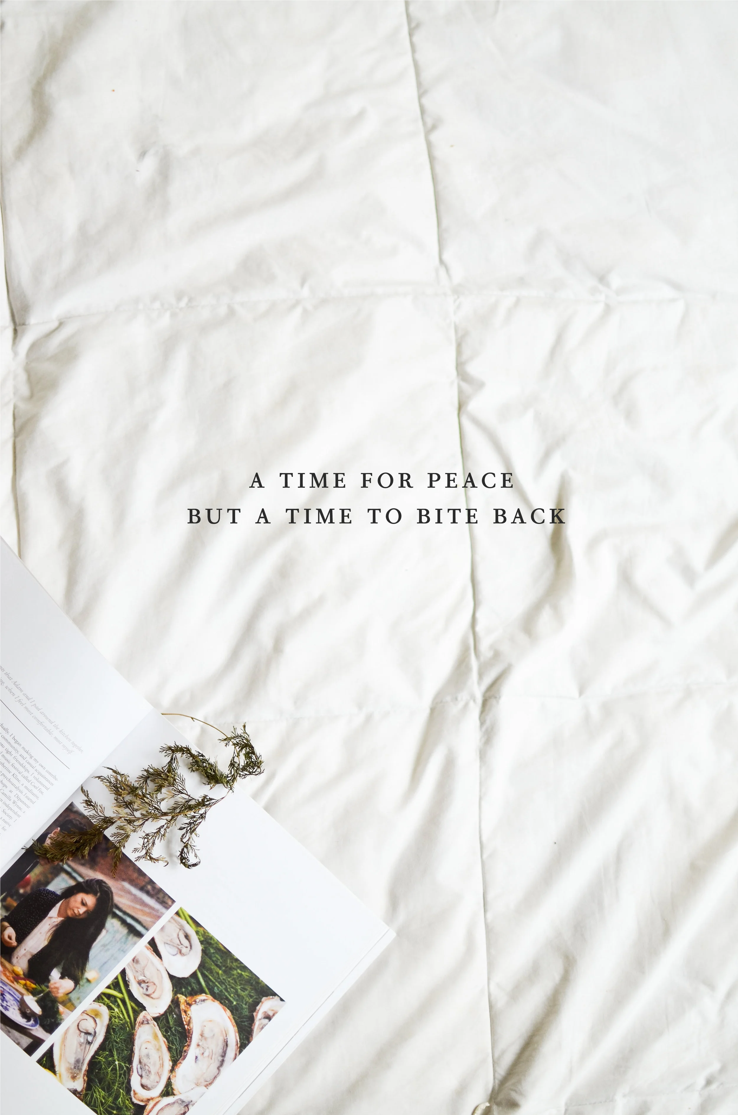 Wendling_Boyd_A_Time_For_Peace_A_Time_For_Biting_Back_.jpg