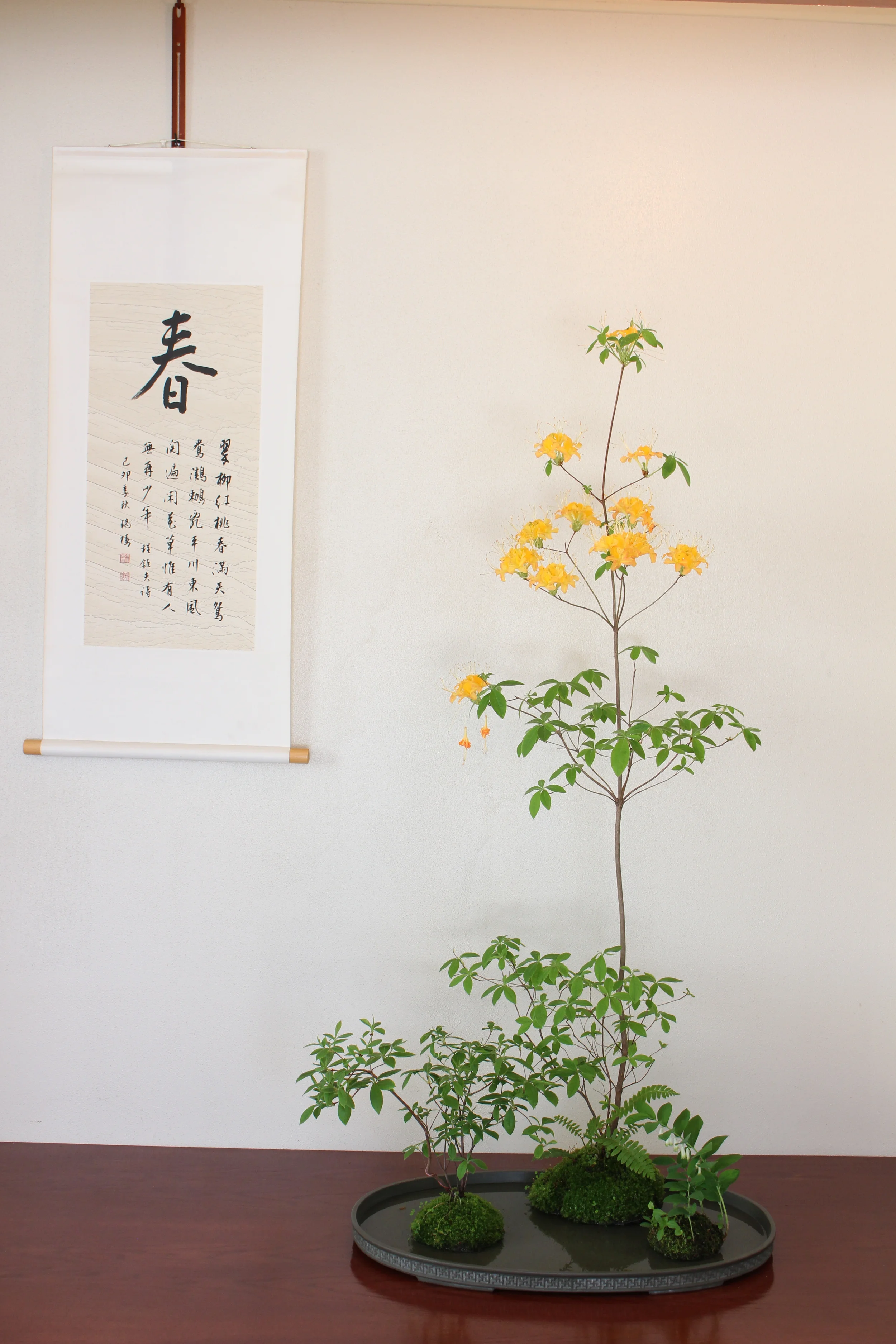 Spring Azalea Kusamono