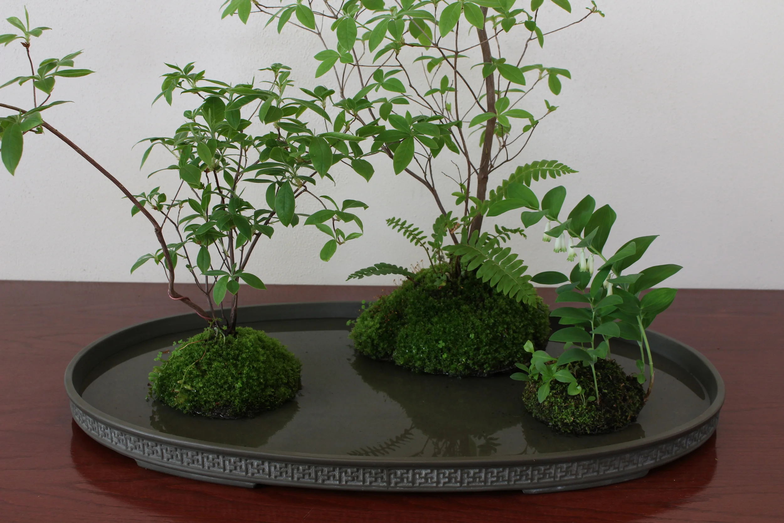 Spring Azalea Kusamono