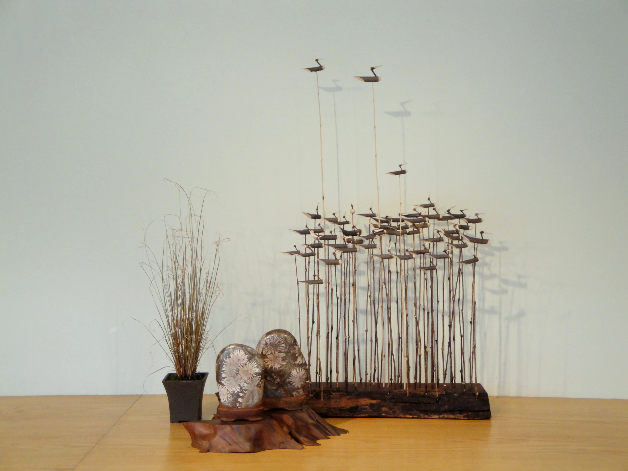  Carex flagellifera (brown sedge) 