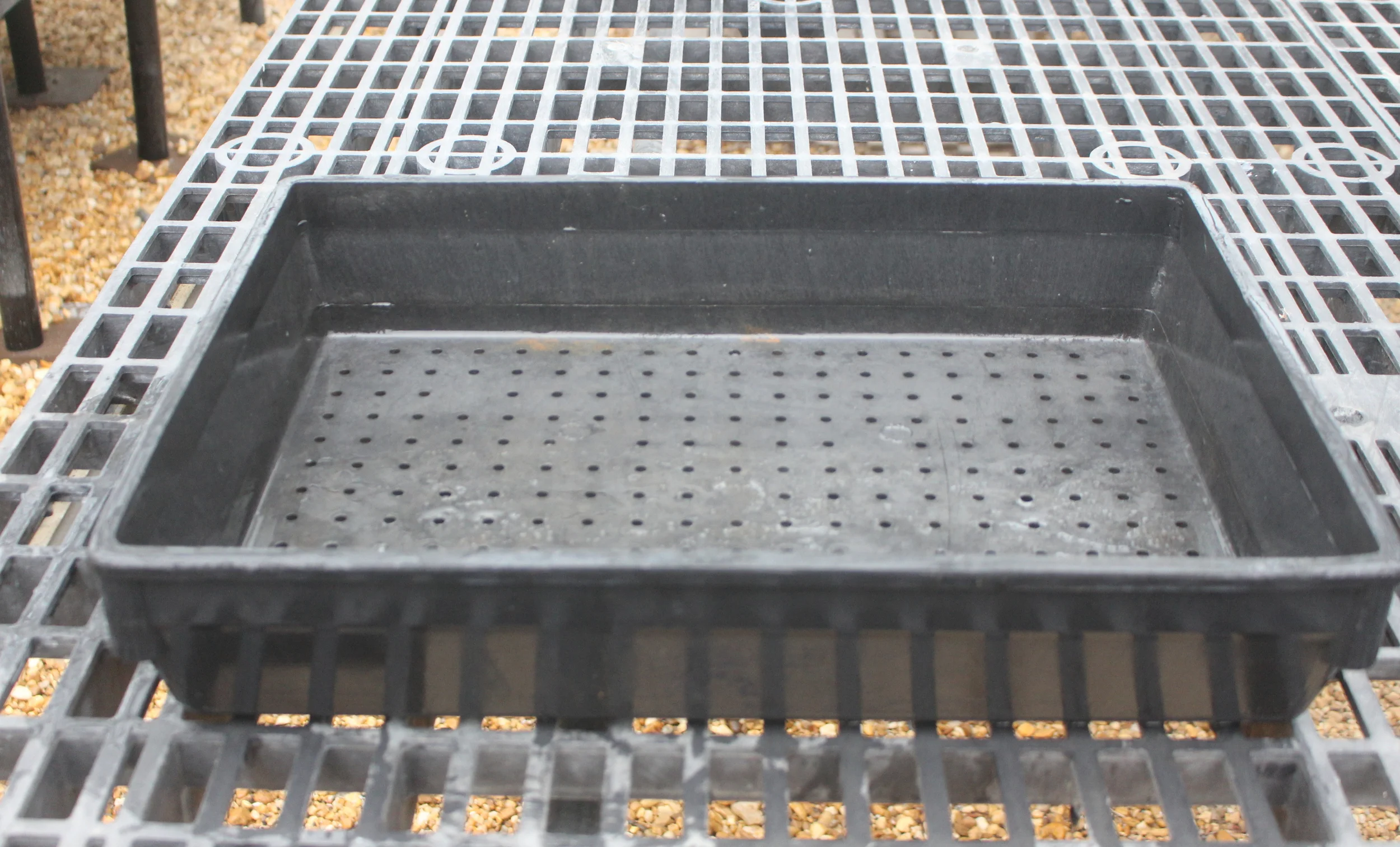 Use a tray with holes in the bottom for drainage.