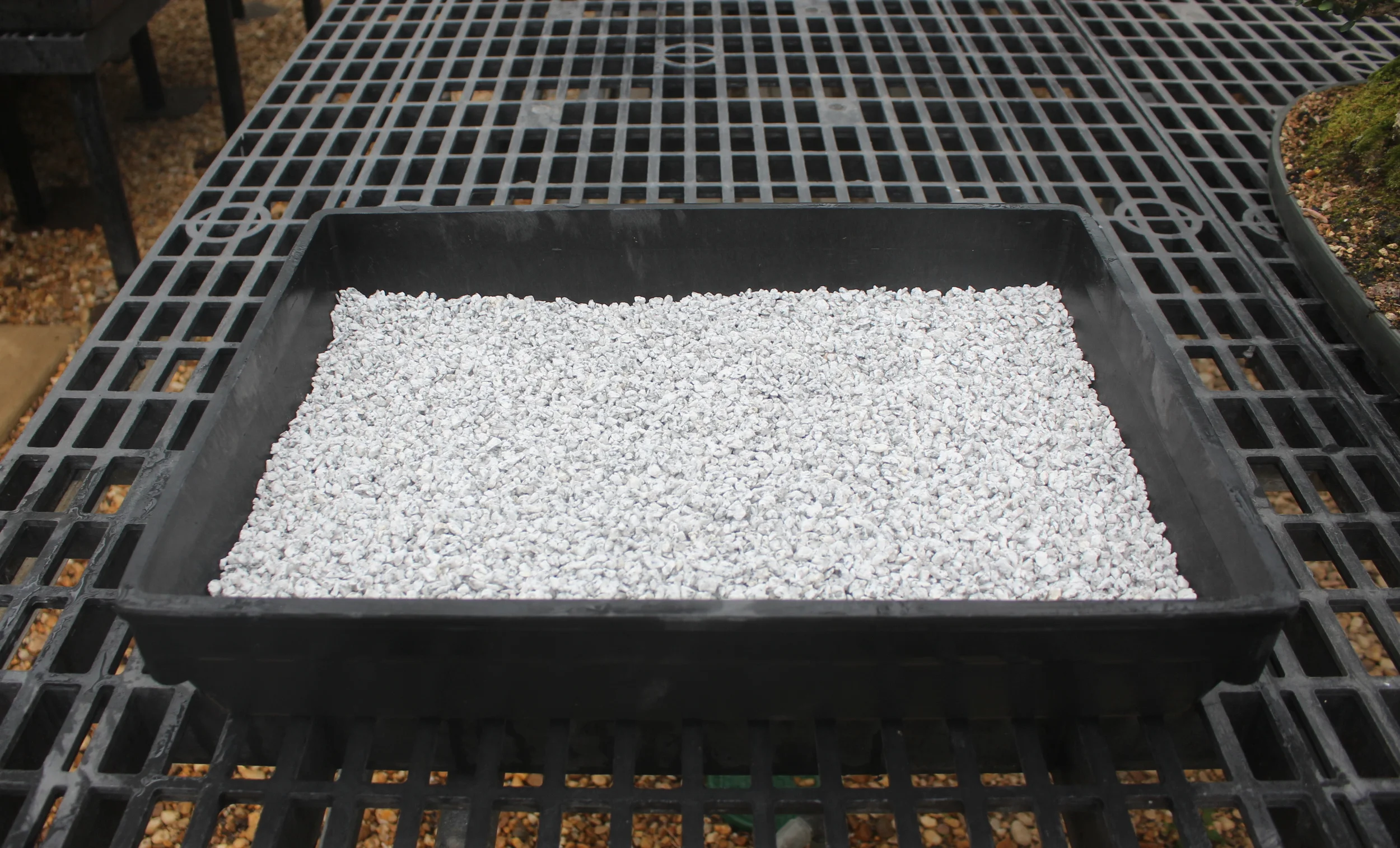 This type of the crushed stone keeps the container moist.