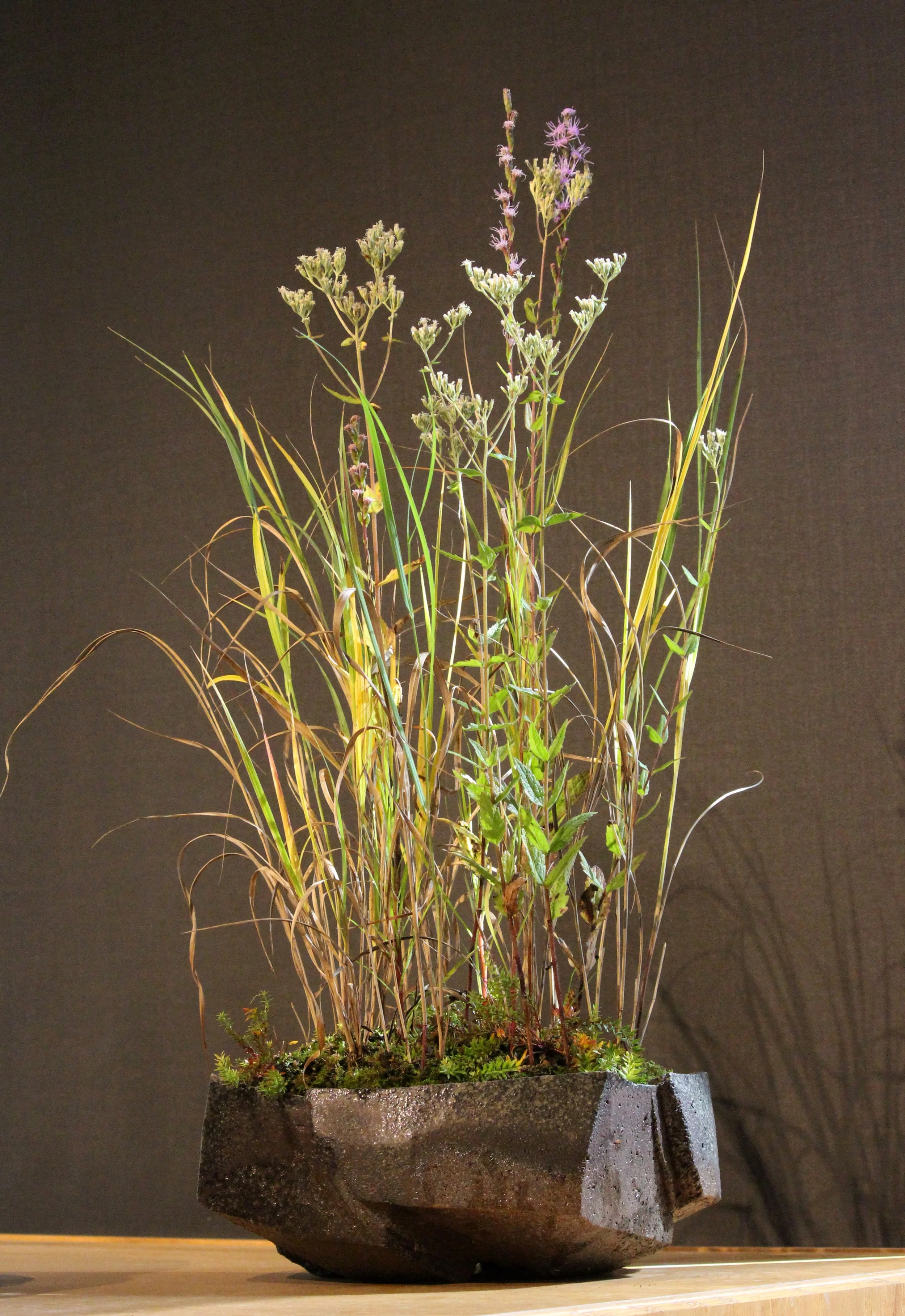   Plants: Eupatorium pilosum (rough boneset),&nbsp;Chasmanthium laxum (slender woodoats), Liatris spicata (dense blazing star)   Pot: Jonathan Cross  