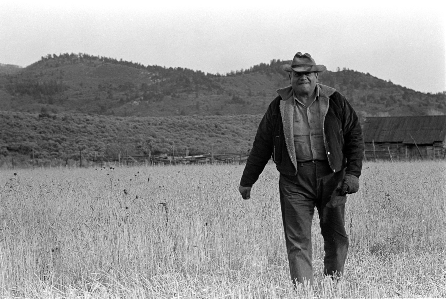A farmer in the agricultural coop is working on the fall harvest in Tierra Amarilla.