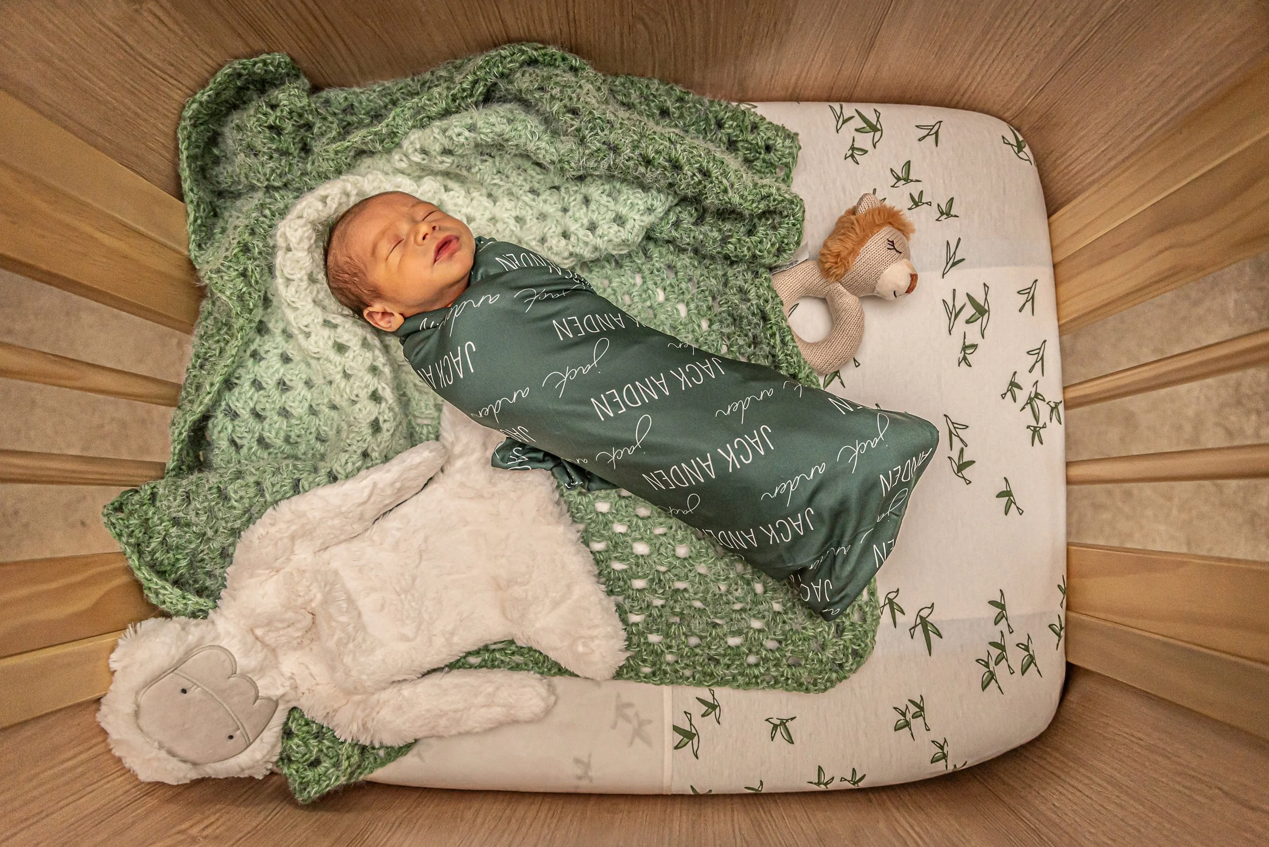 20240719-Jack-26.jpg