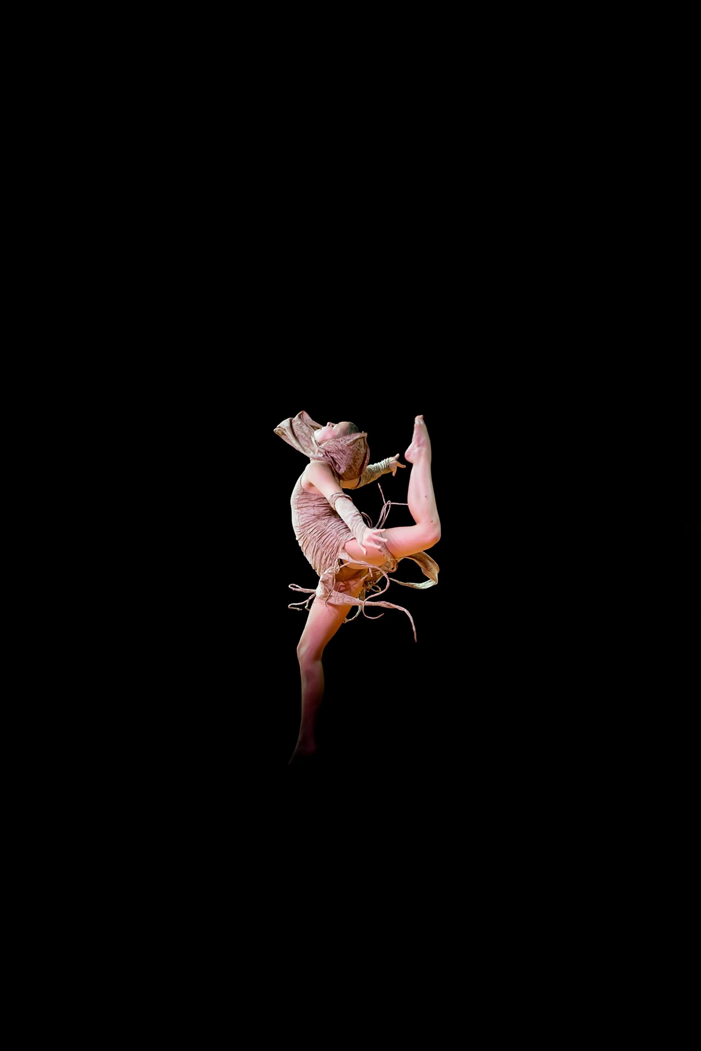 20250607-Dansations (93 of 221).jpg