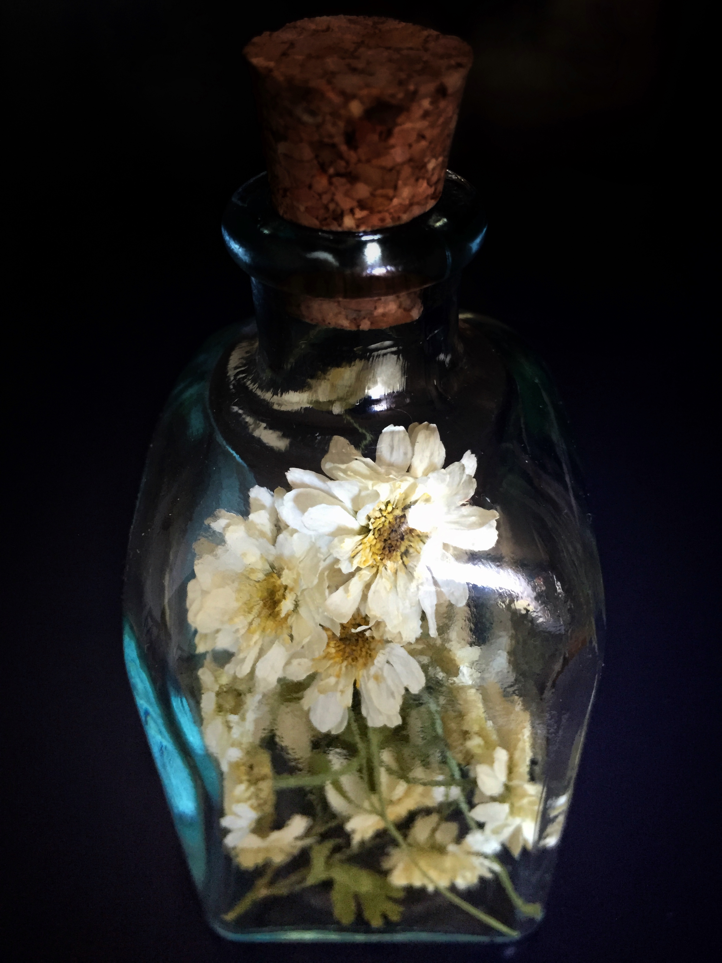 feverfew message in a bottle.jpg