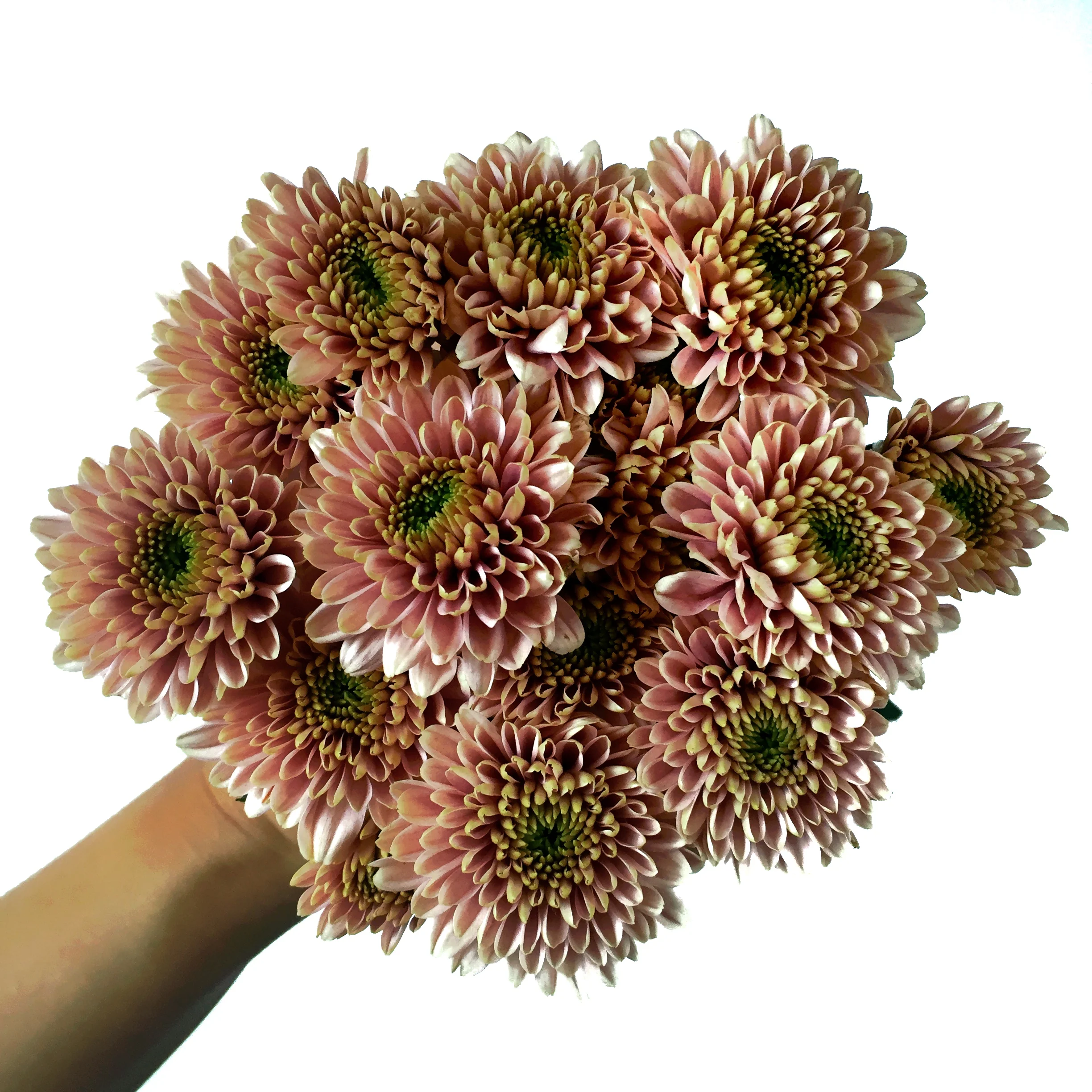 Mom S In Business The Bloom Equation