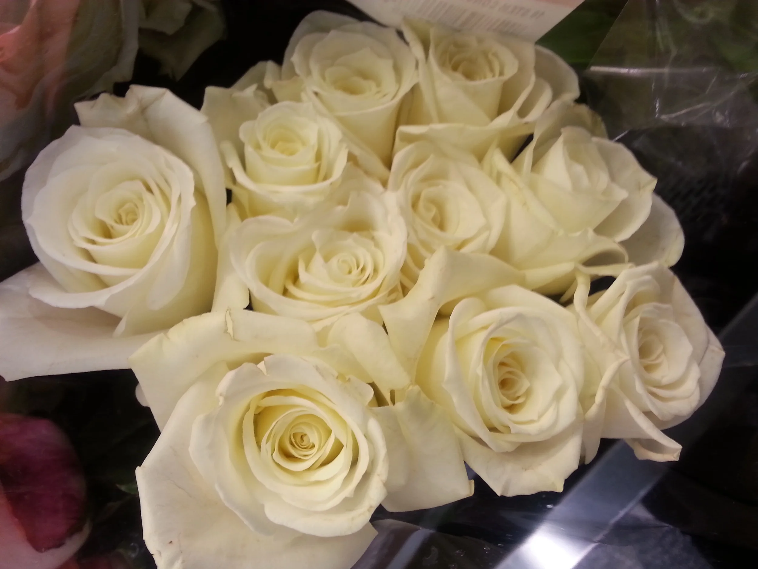 Bouquet of White Roses
