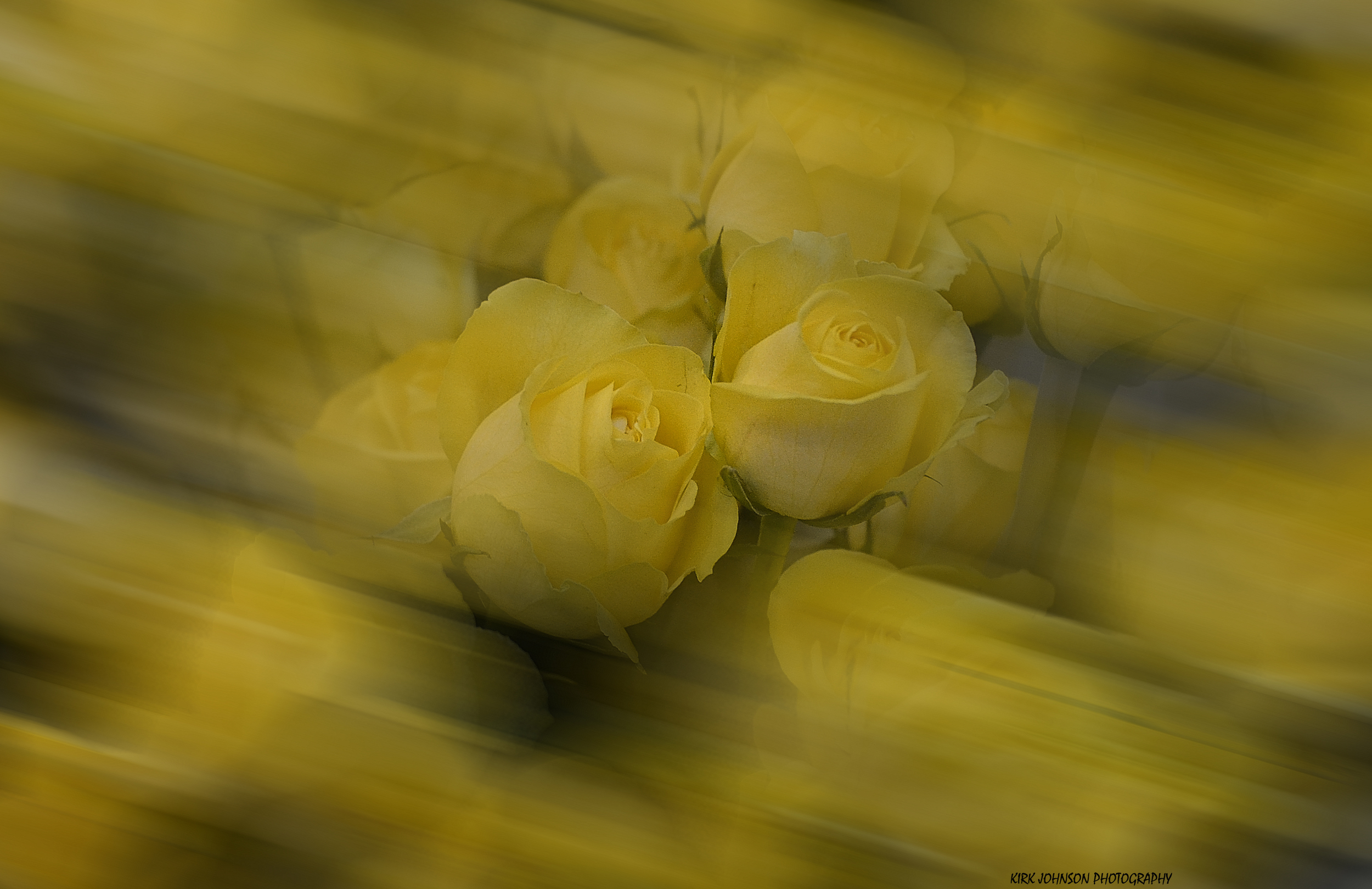 Slow down and smell the roses