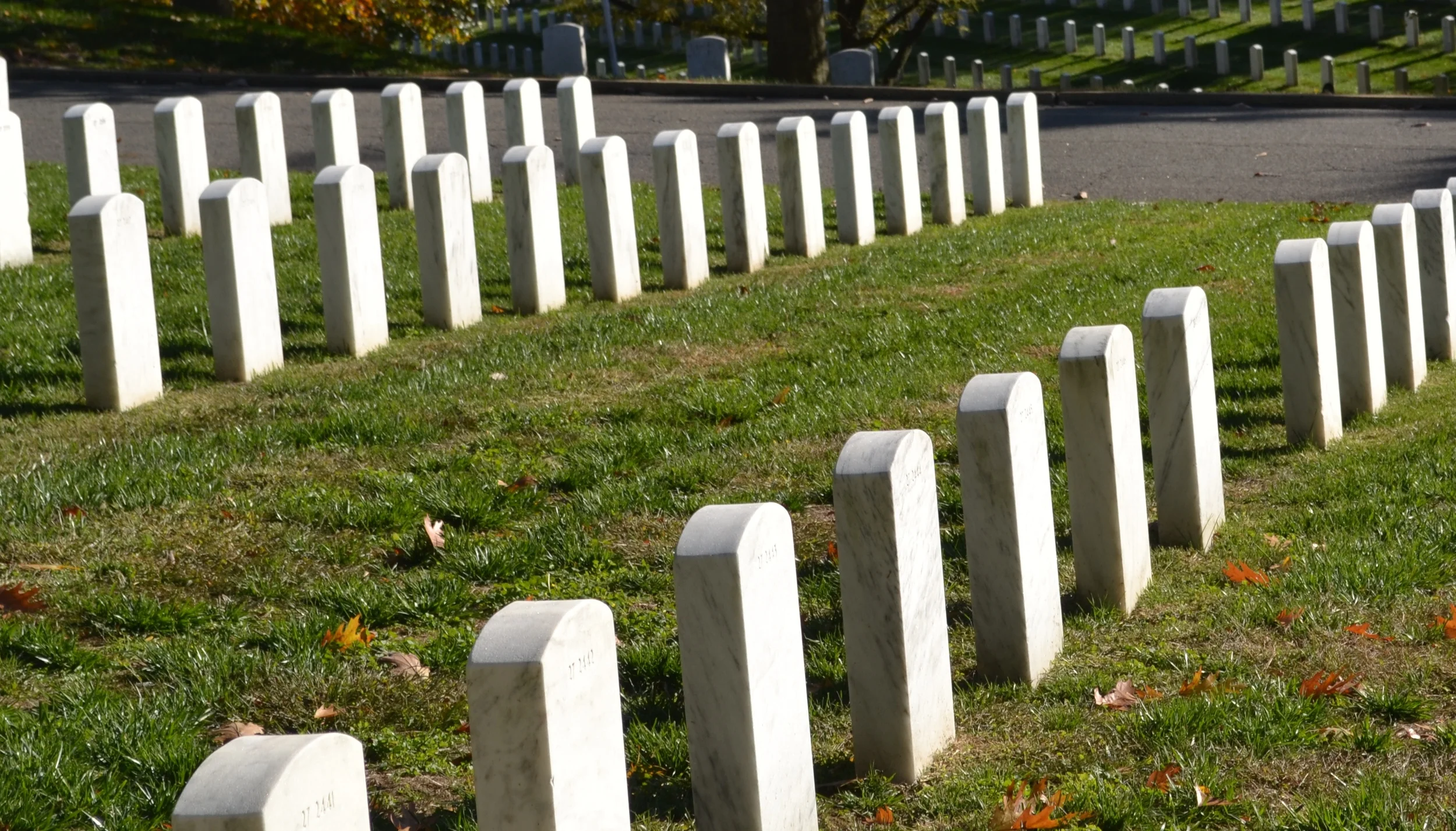 Arlington cemetery #2