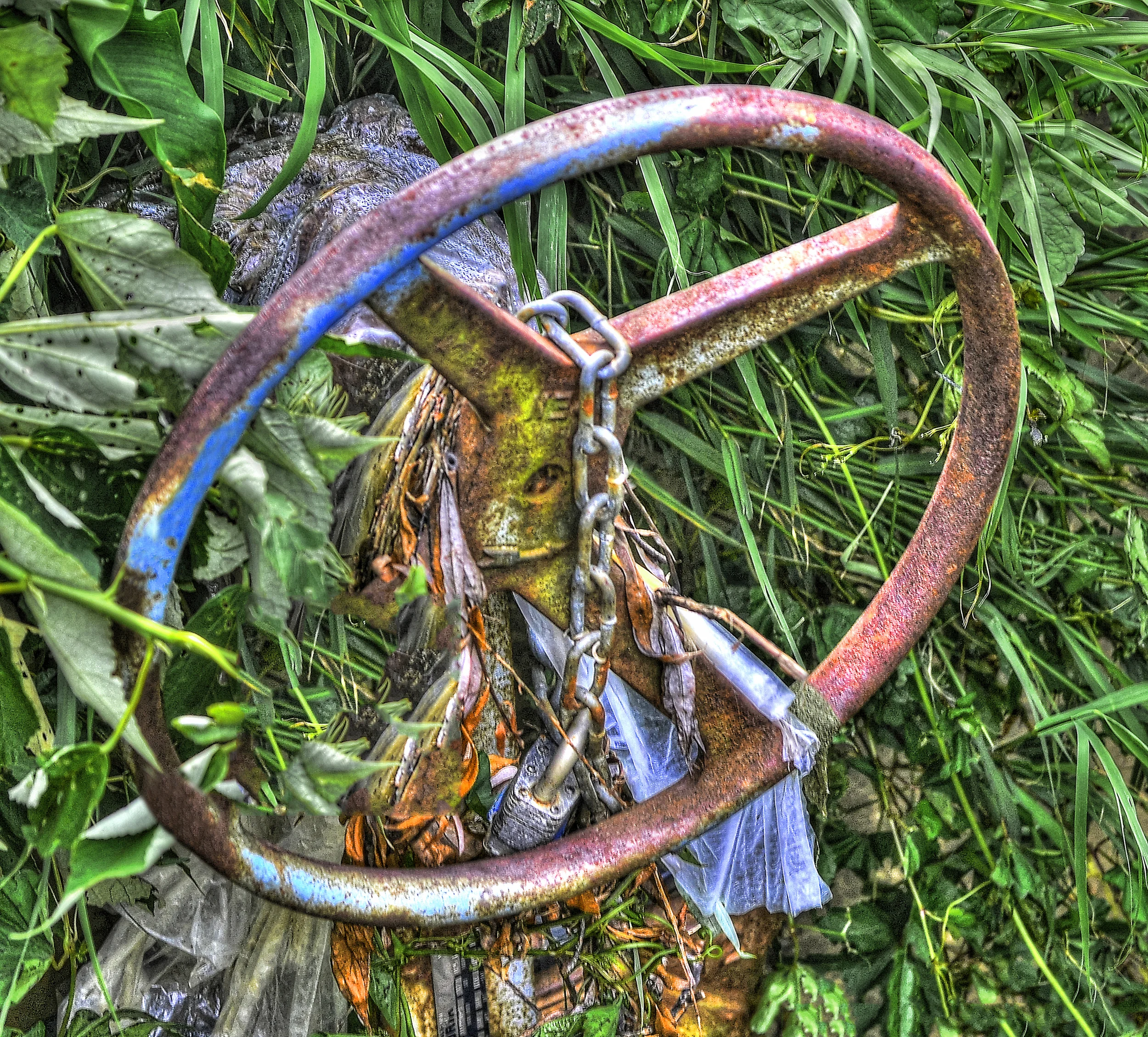 Rusting Wheel