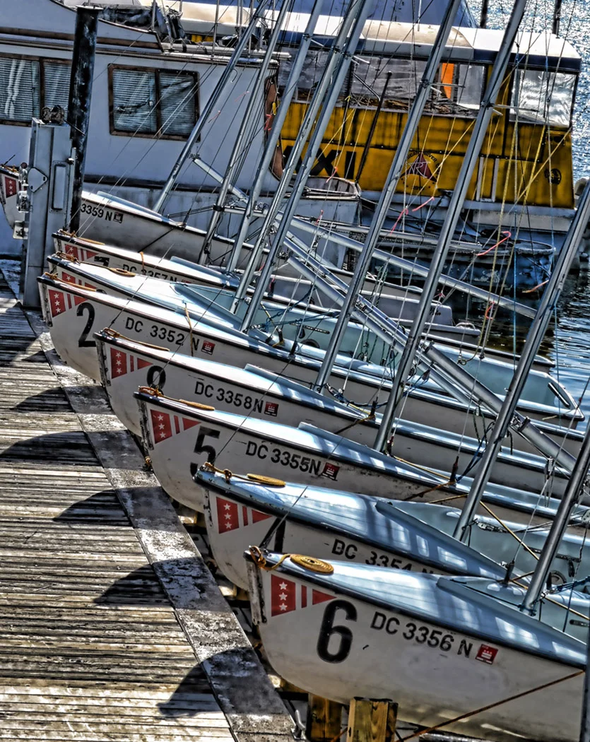 Sailboats at the Washington Marina