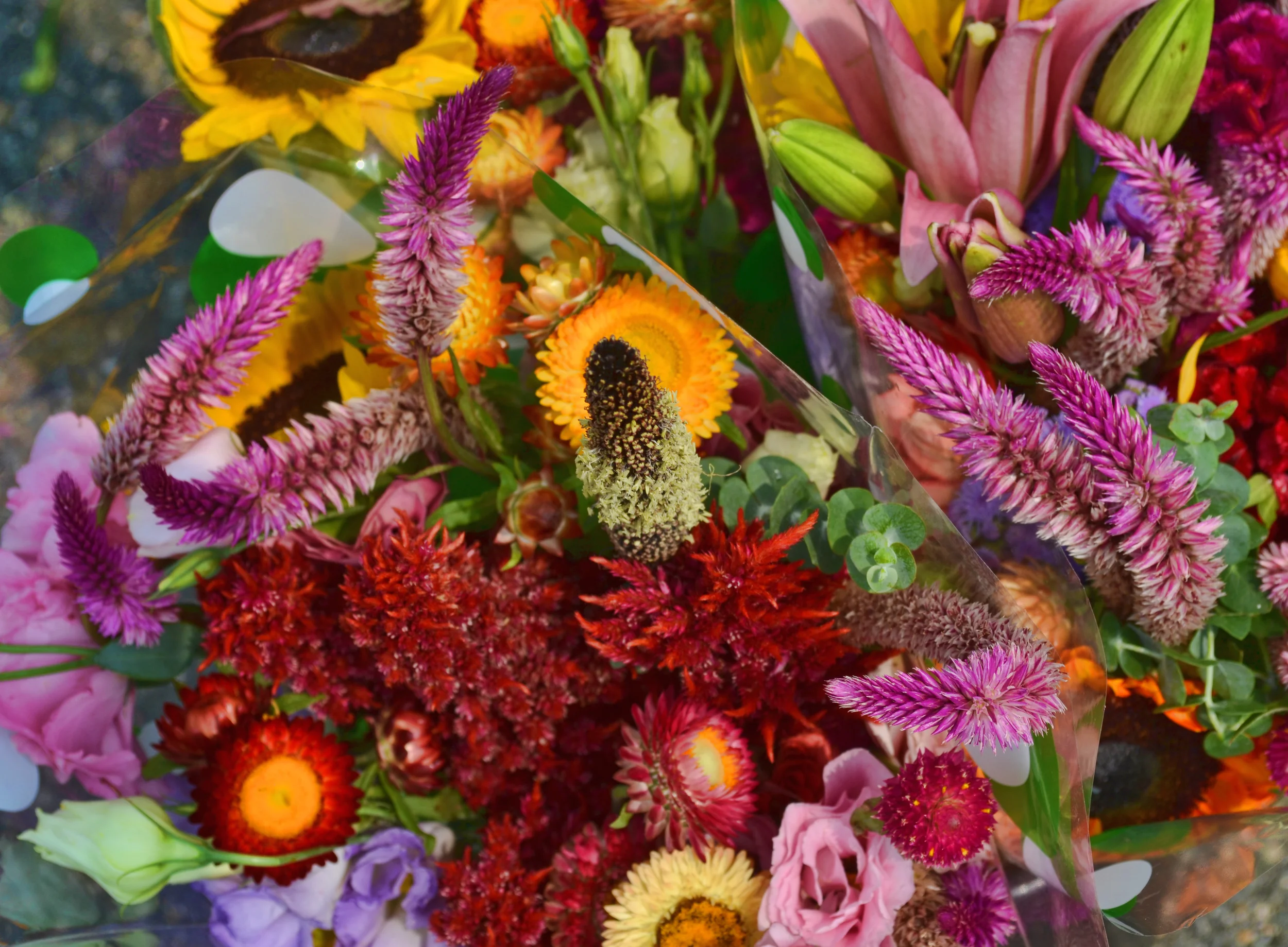 Colorful collection of flowers